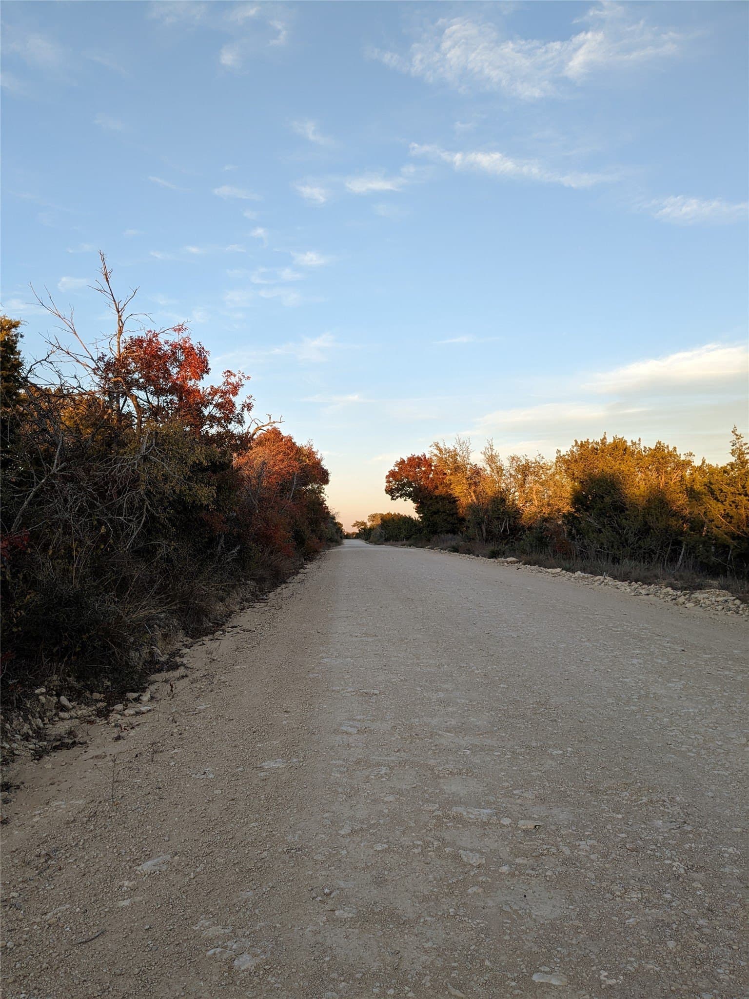 9.87 acres in Hamilton County gallery image 4