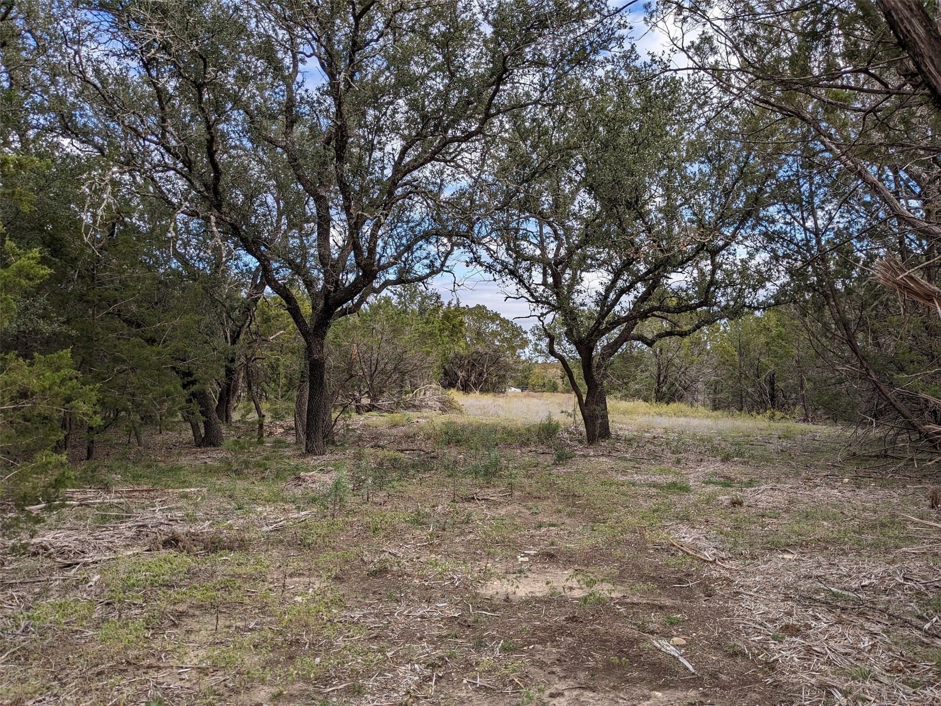 10.01 acres in Hamilton County - photo 12