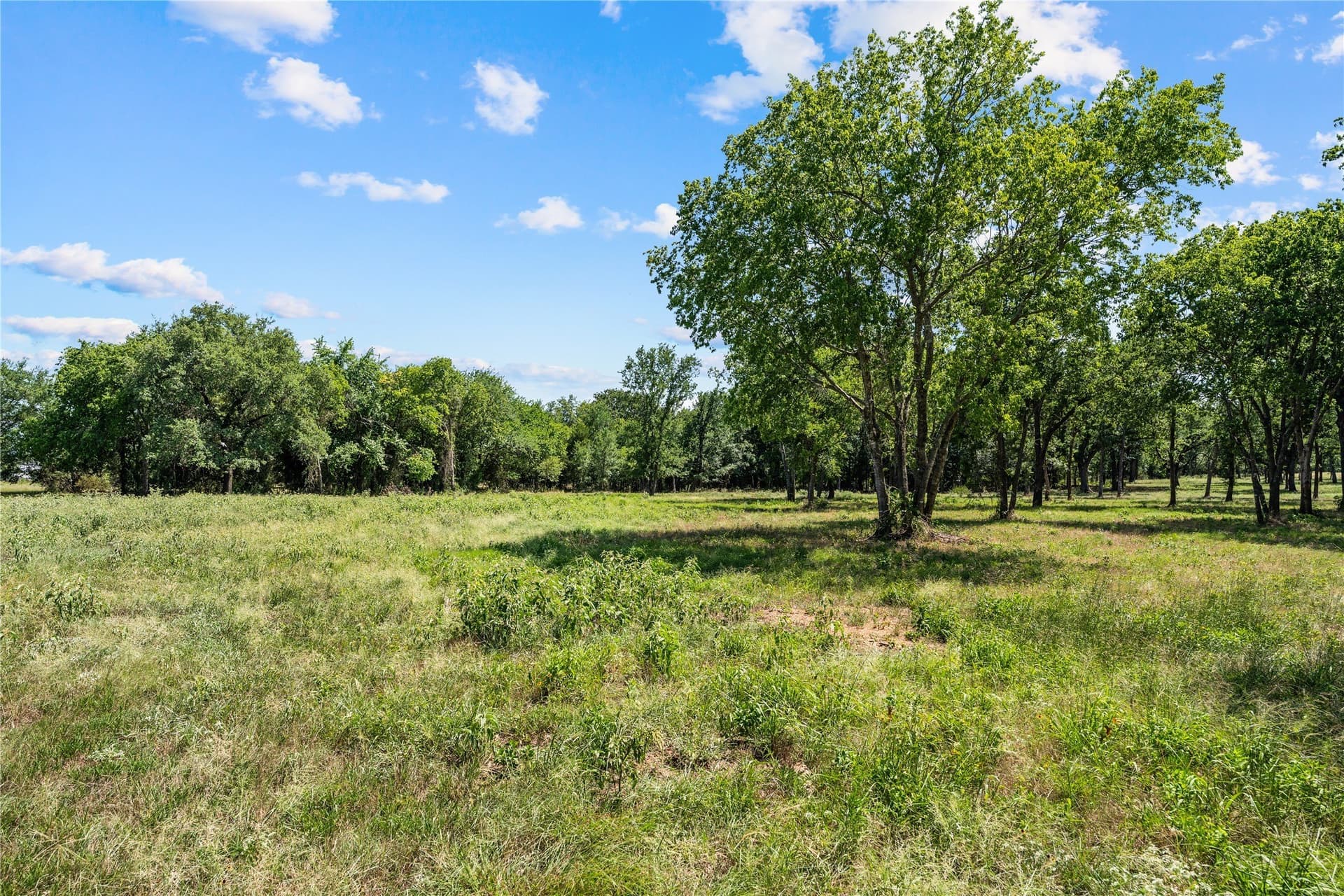 3 acres in Hill County - photo 4
