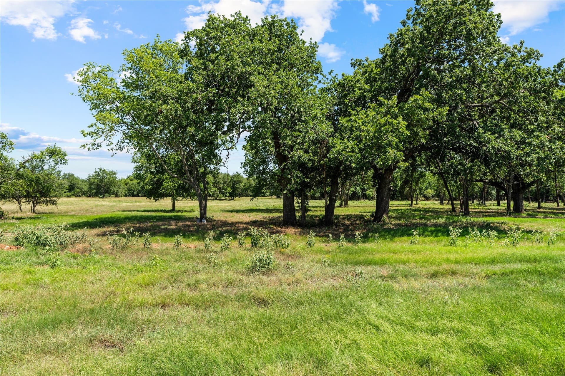 3 acres in Hill County - photo 2
