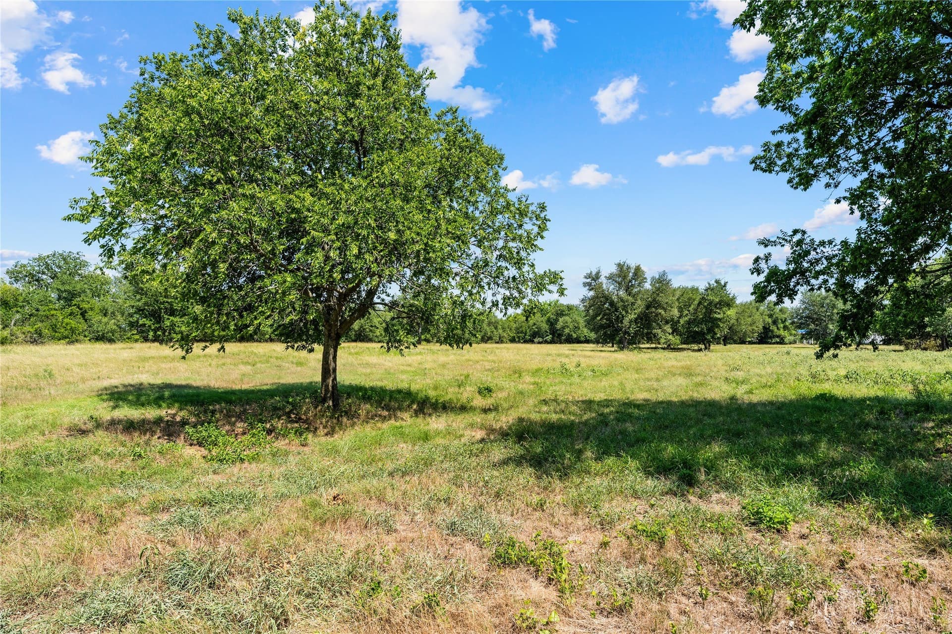 3 acres in Hill County - photo 3