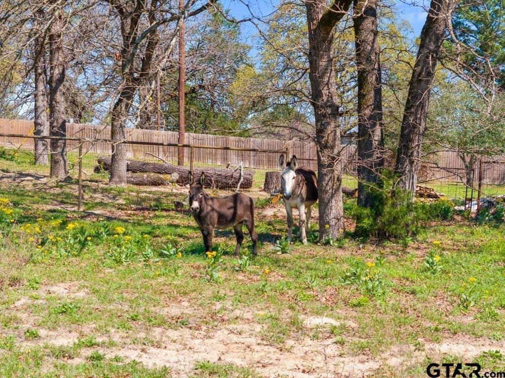 10.98 acres in Smith County - photo 39
