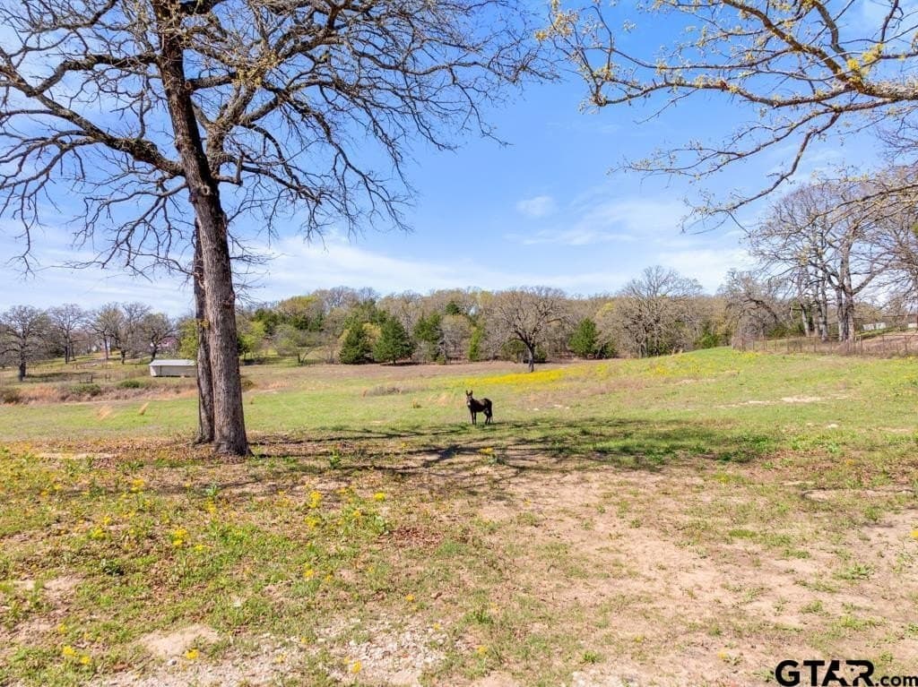 10.98 acres in Smith County - photo 42