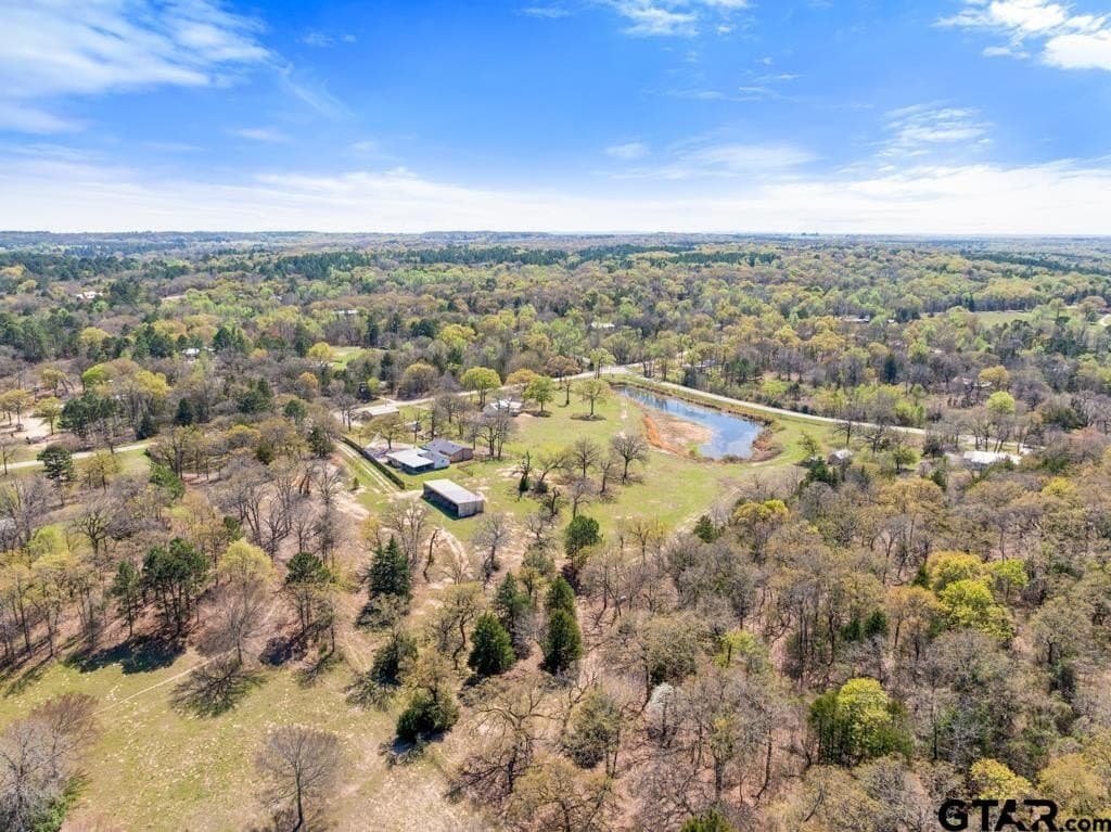 10.98 acres in Smith County - photo 45