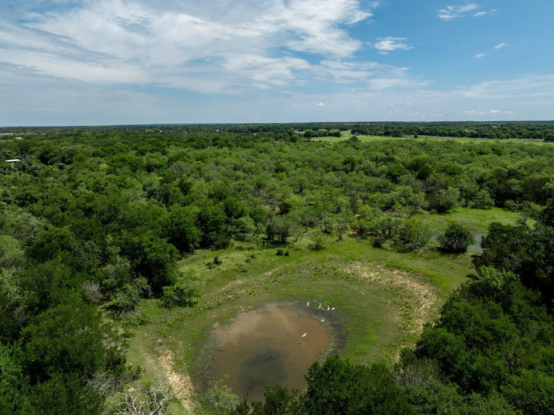 55.16 acres in Hill County - photo 10
