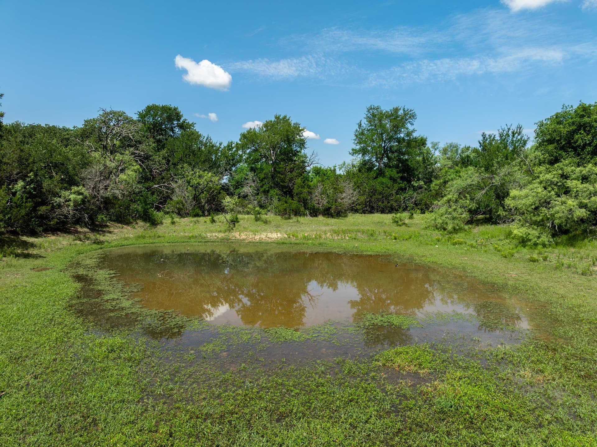55.16 acres in Hill County - photo 12