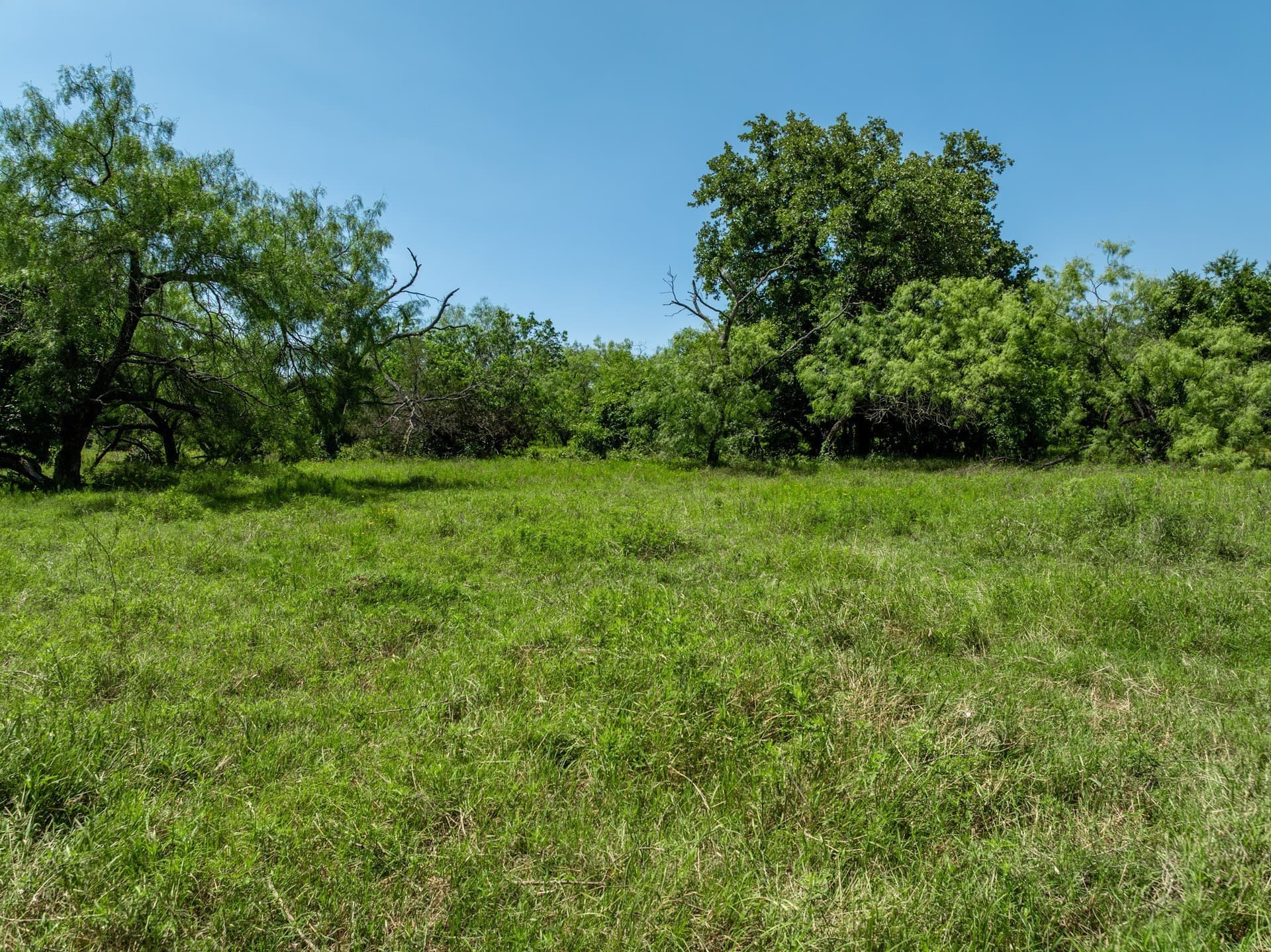 55.16 acres in Hill County - photo 17
