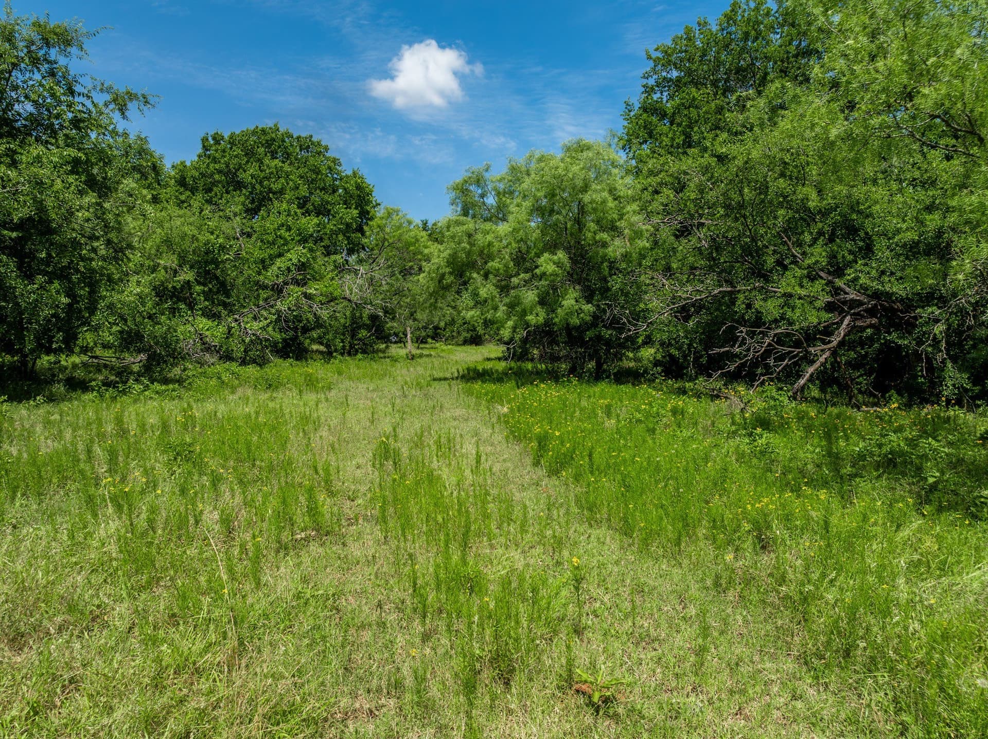 55.16 acres in Hill County - photo 15