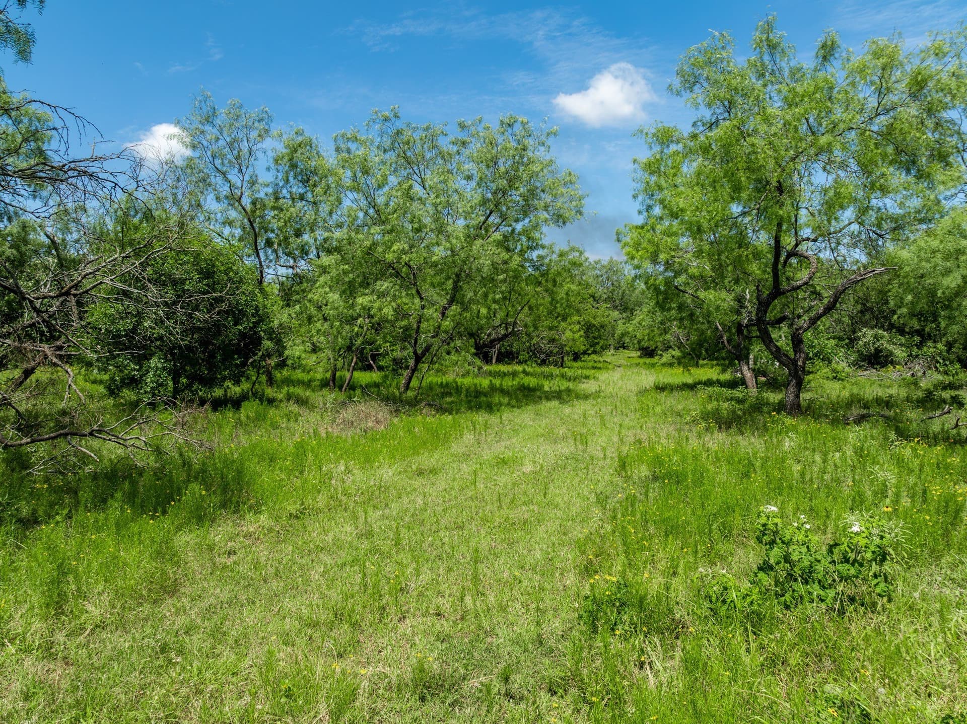 55.16 acres in Hill County - photo 16