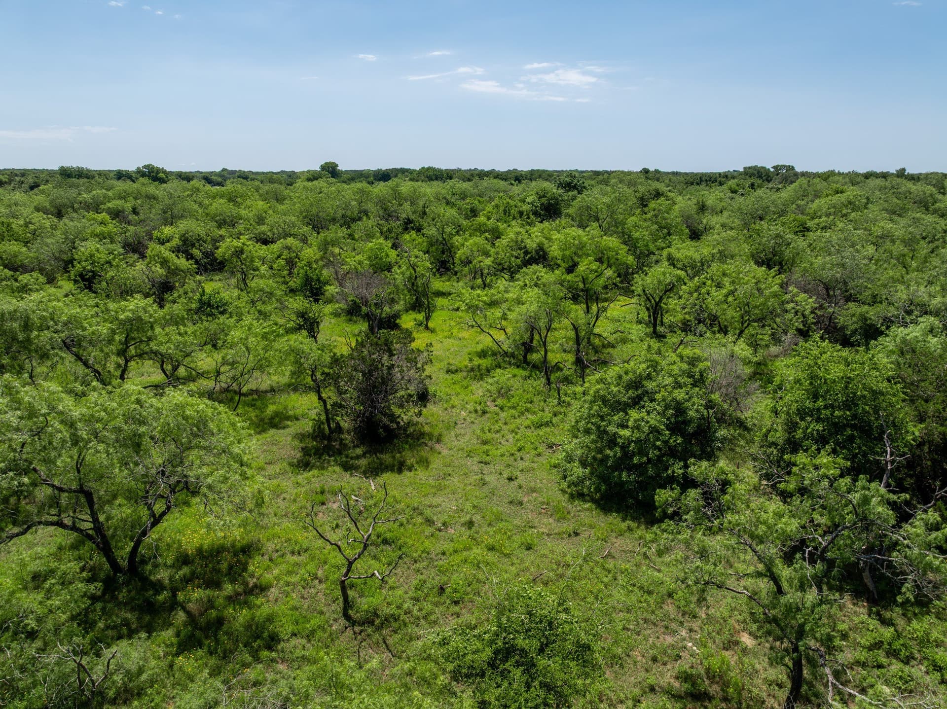 55.16 acres in Hill County - photo 18