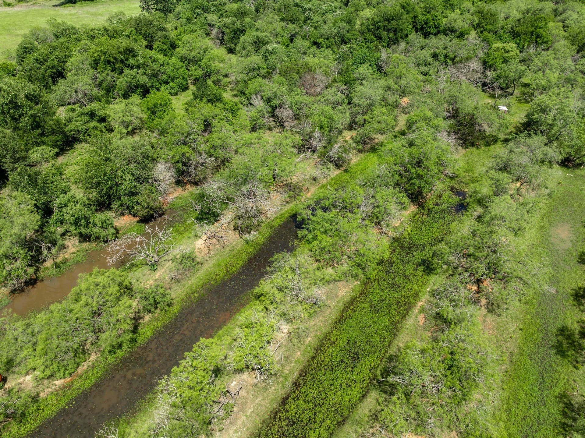 55.16 acres in Hill County - photo 14