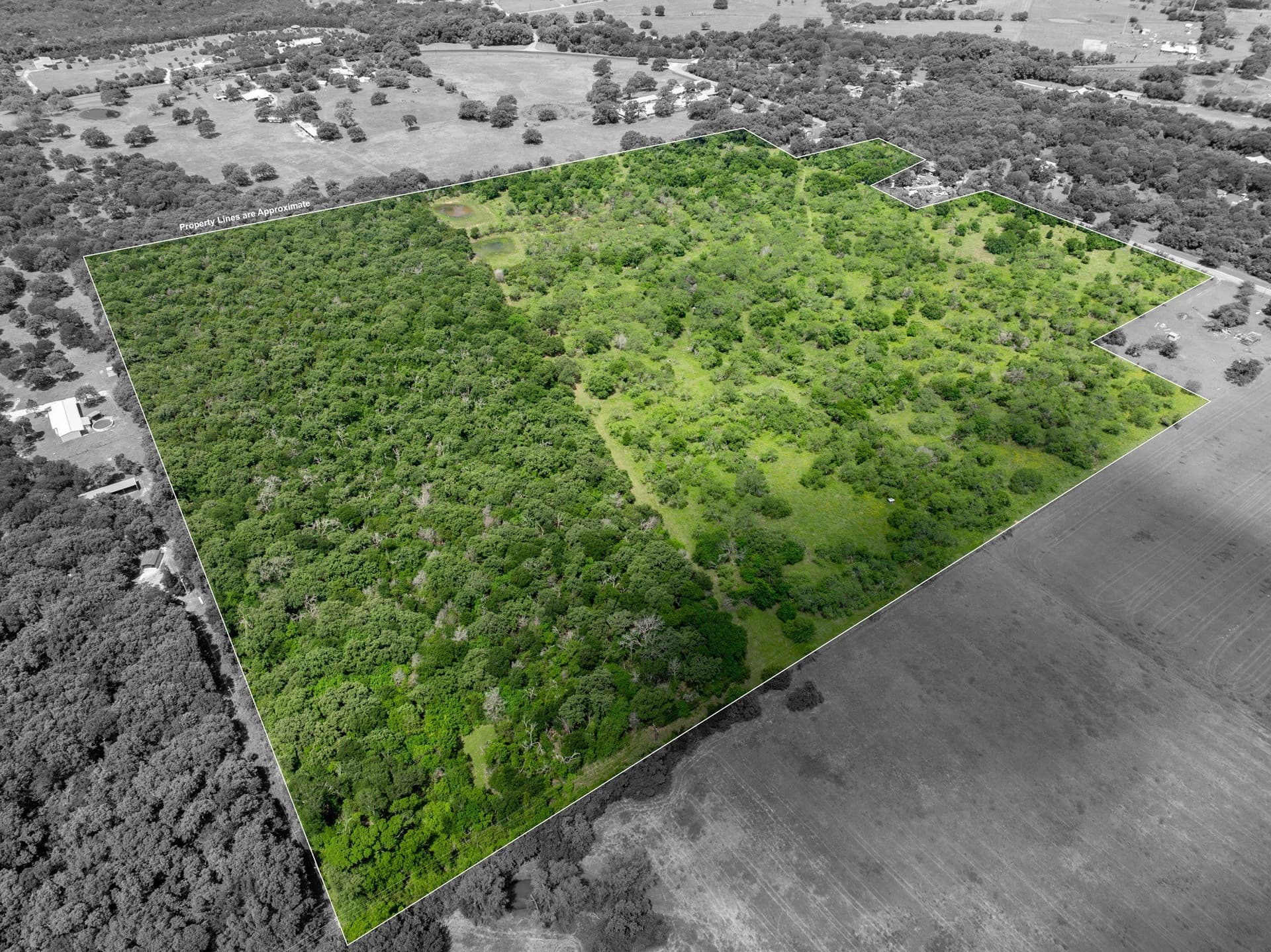 55.16 acres in Hill County gallery image 3