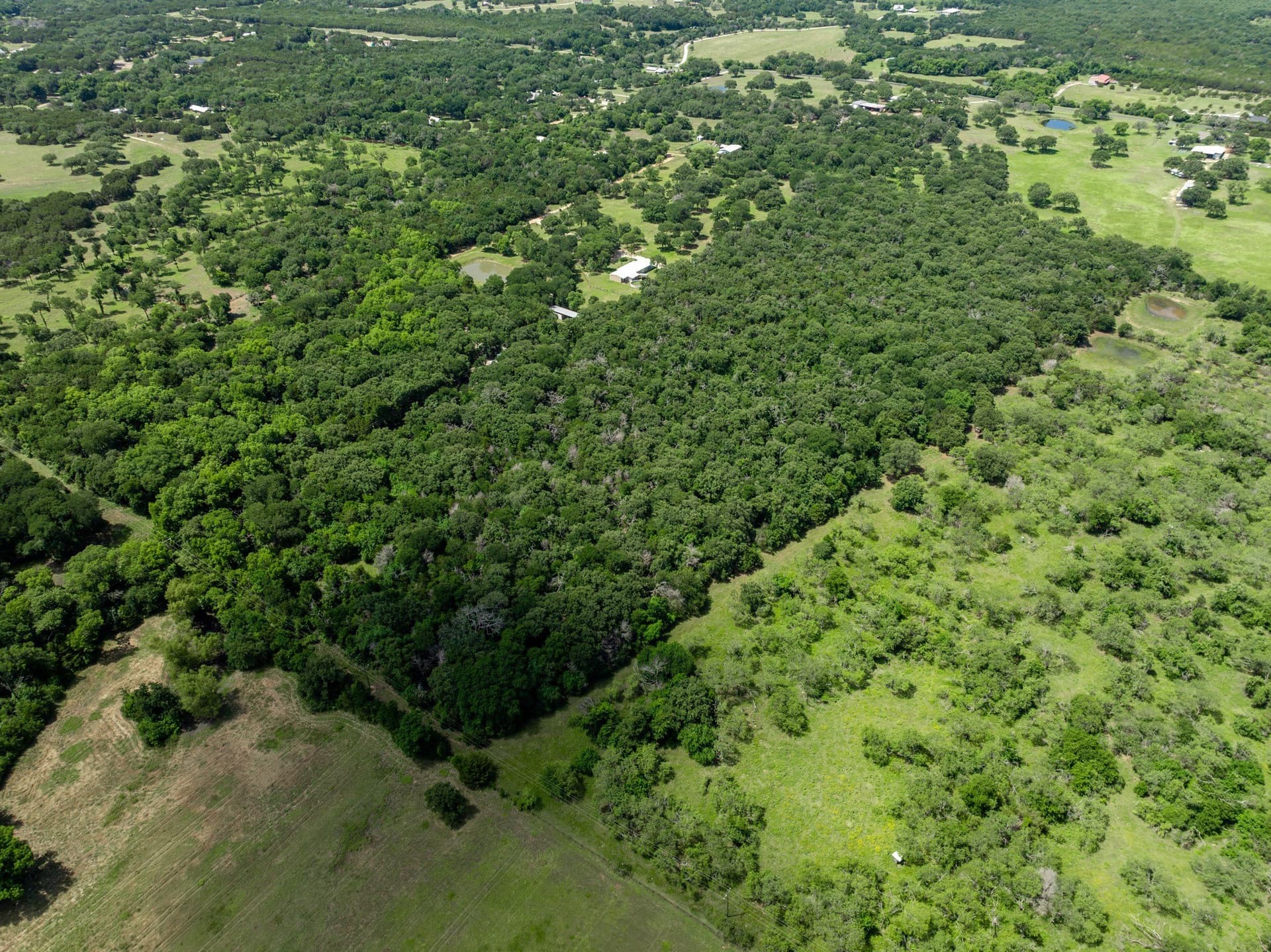 55.16 acres in Hill County featured view
