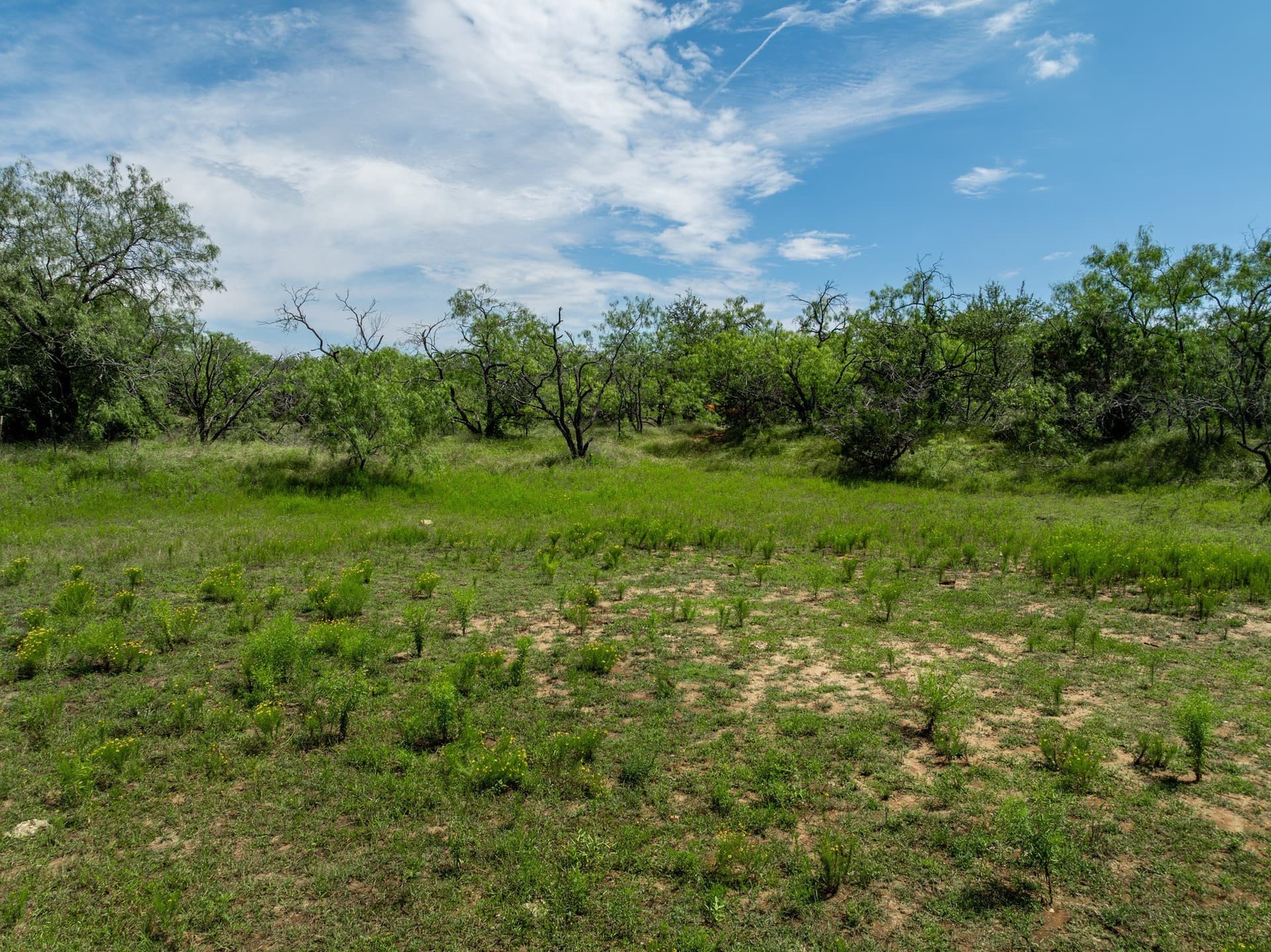55.16 acres in Hill County - photo 13