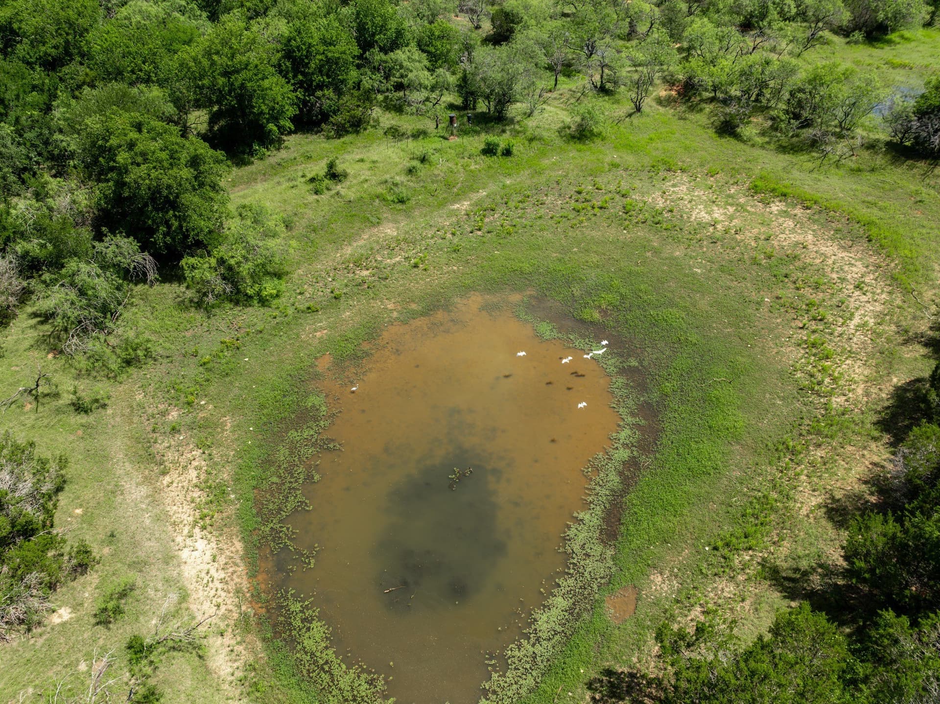 55.16 acres in Hill County - photo 11