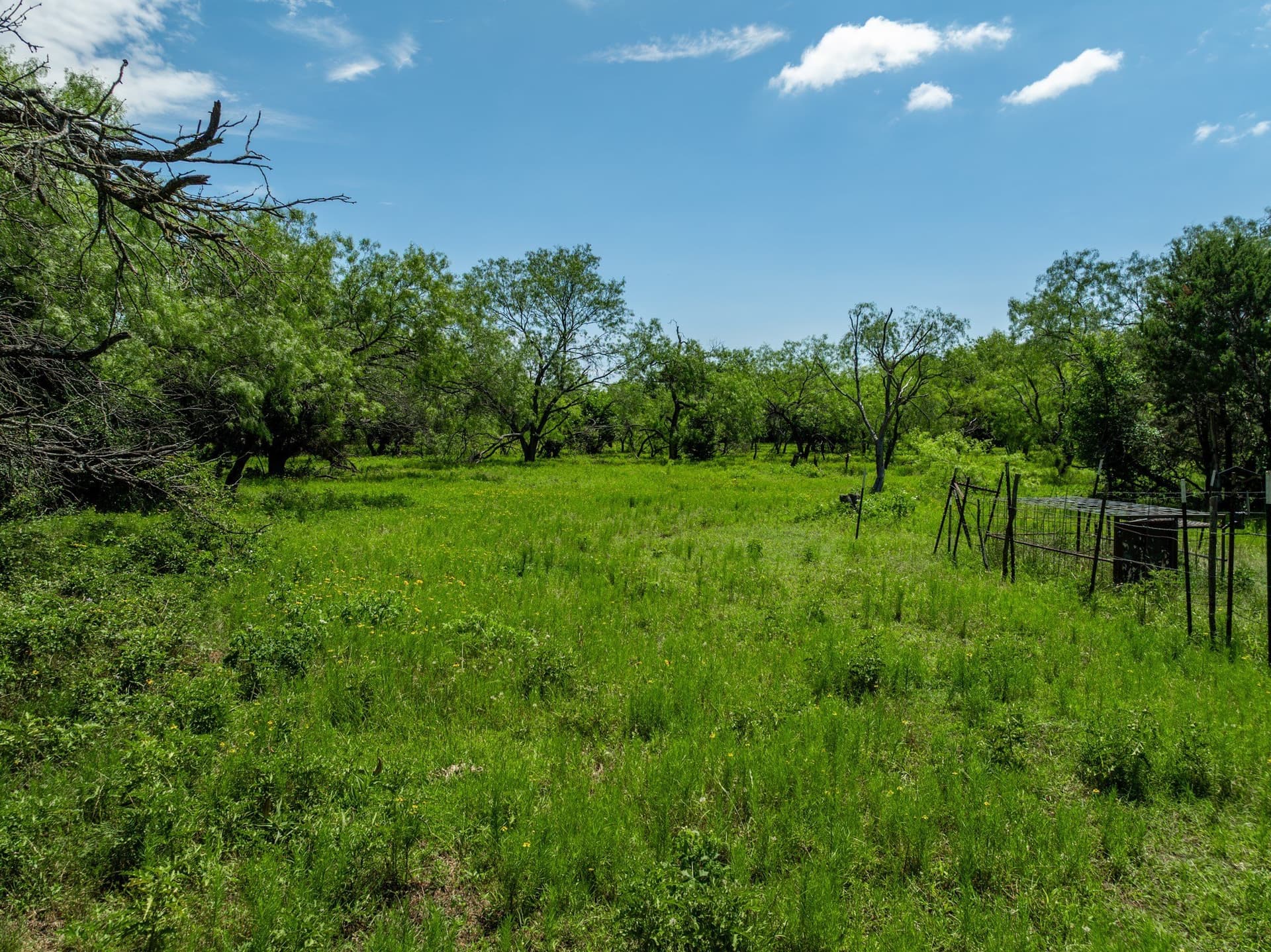 55.16 acres in Hill County - photo 21