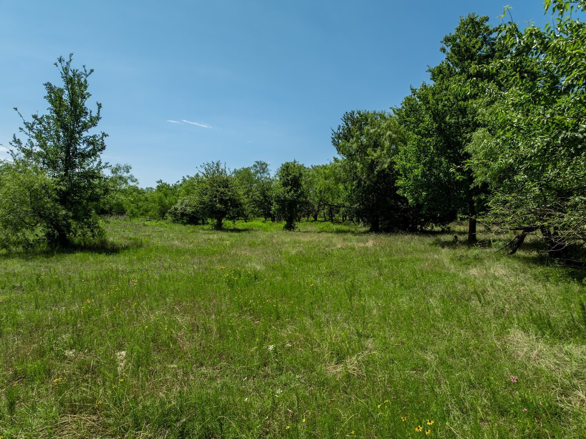 55.16 acres in Hill County - photo 24