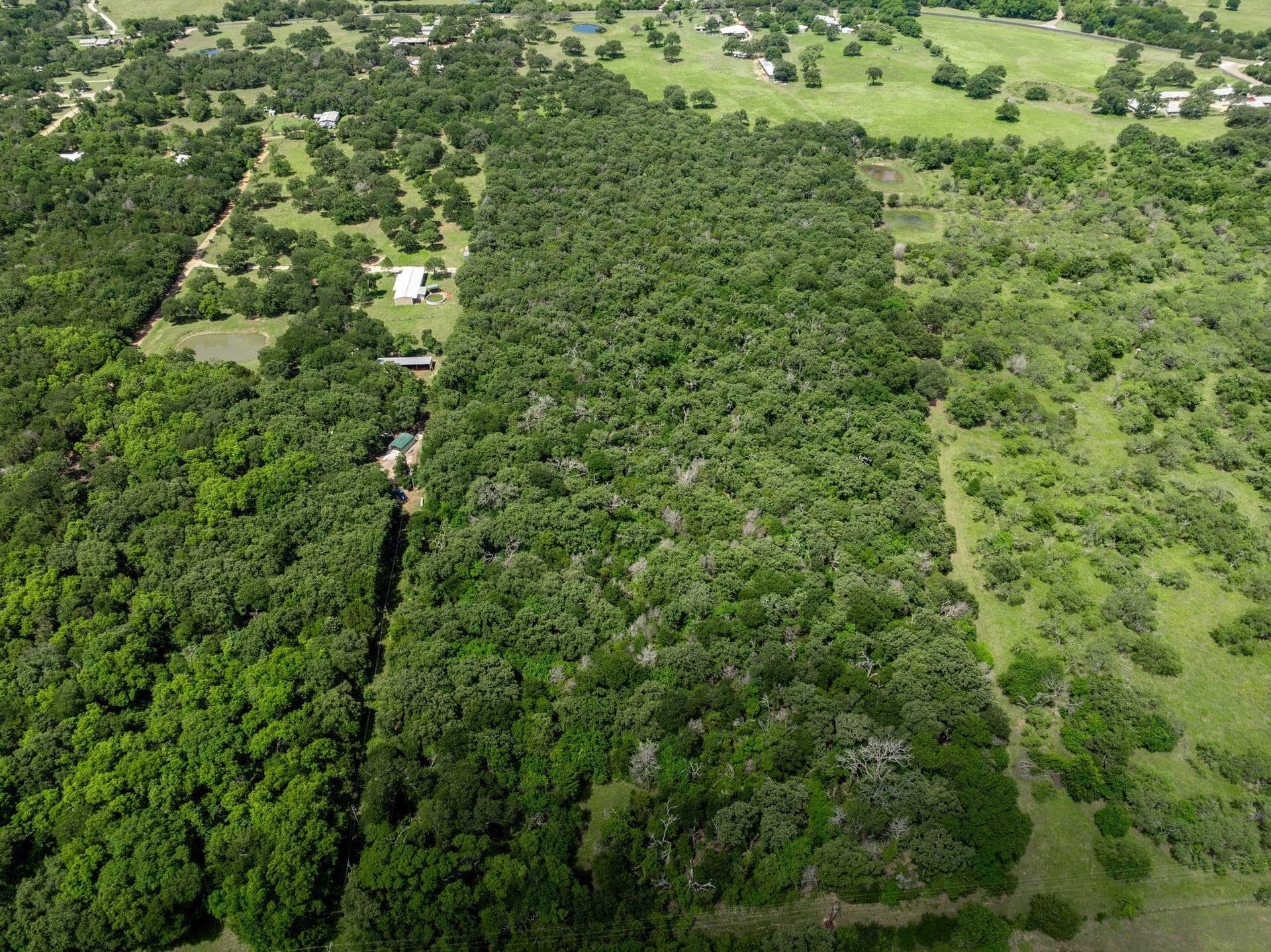 55.16 acres in Hill County - photo 8