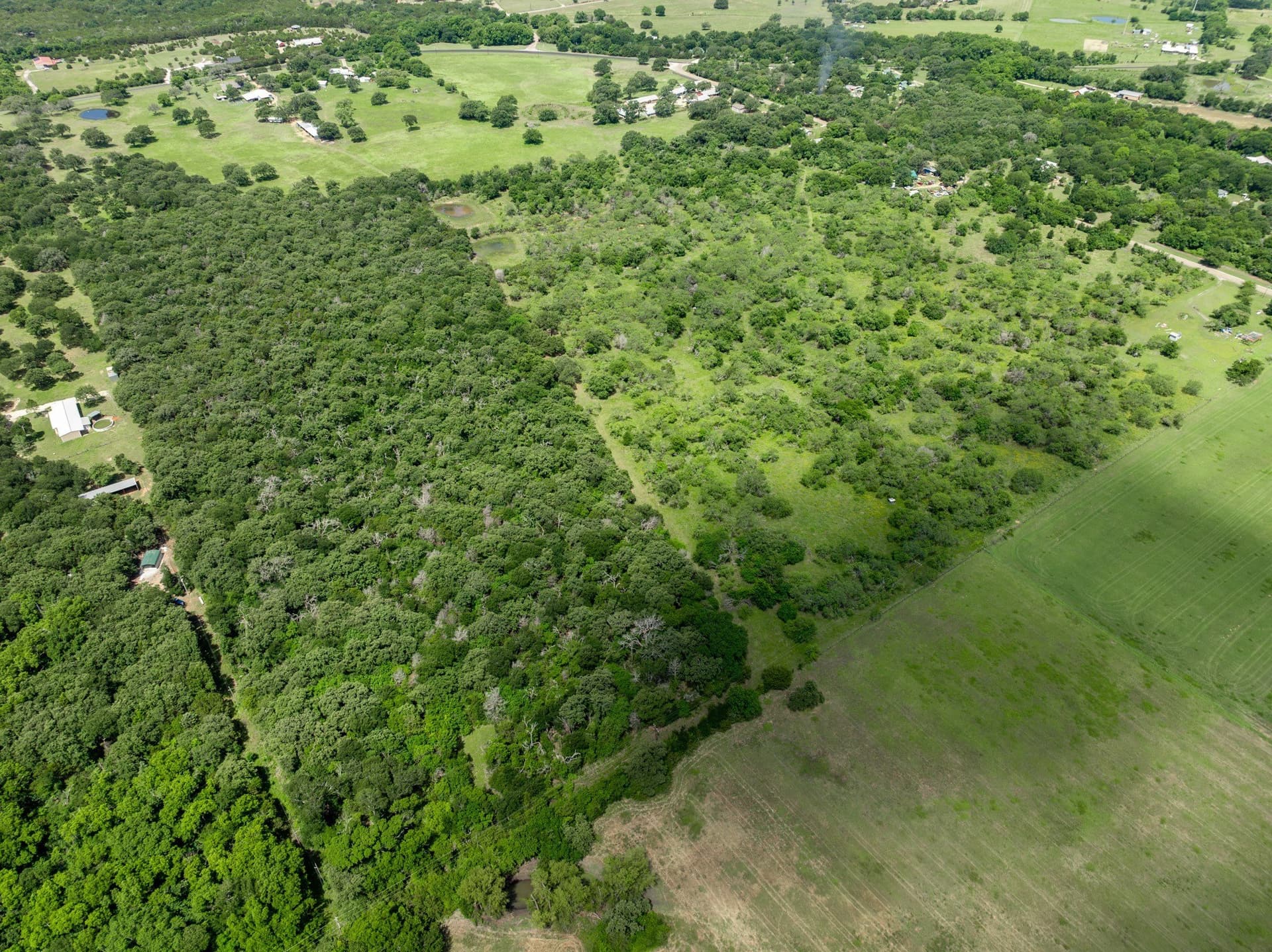 55.16 acres in Hill County - photo 7