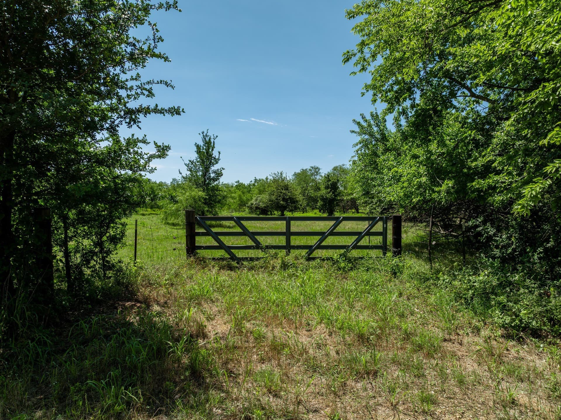 55.16 acres in Hill County - photo 23
