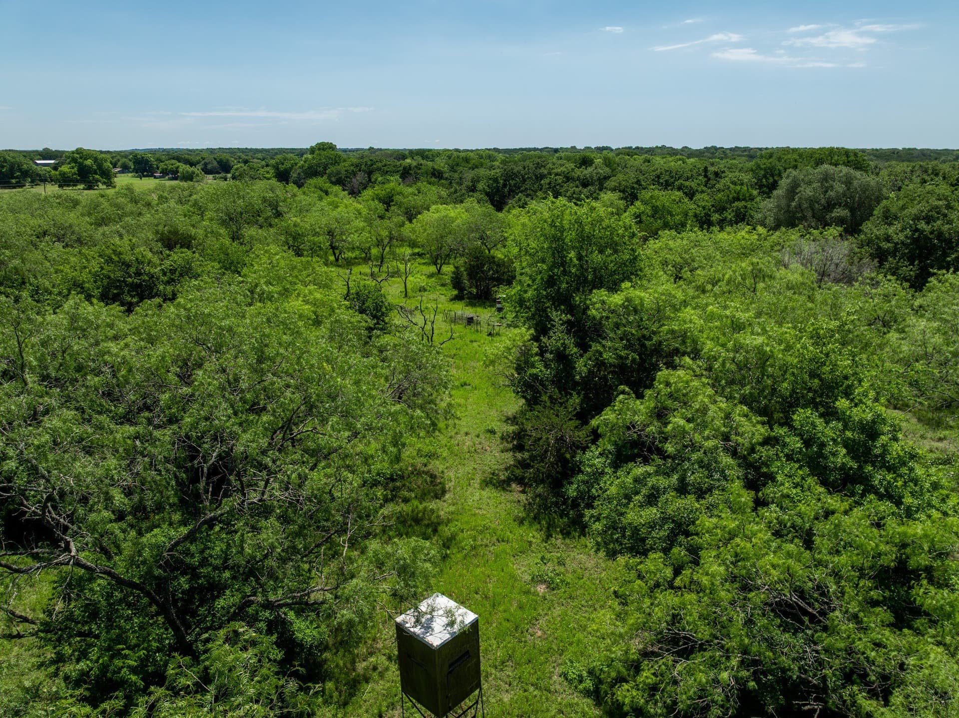 55.16 acres in Hill County - photo 20