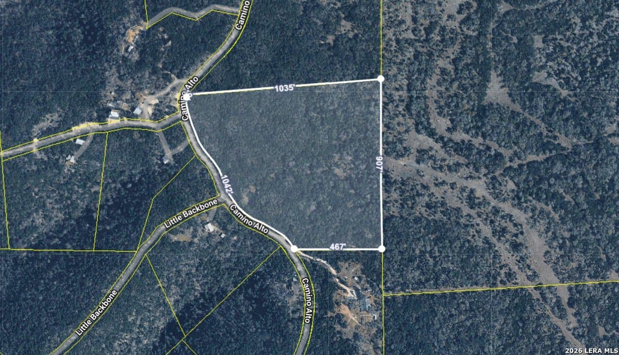 16.81 acres in Comal County gallery image 2