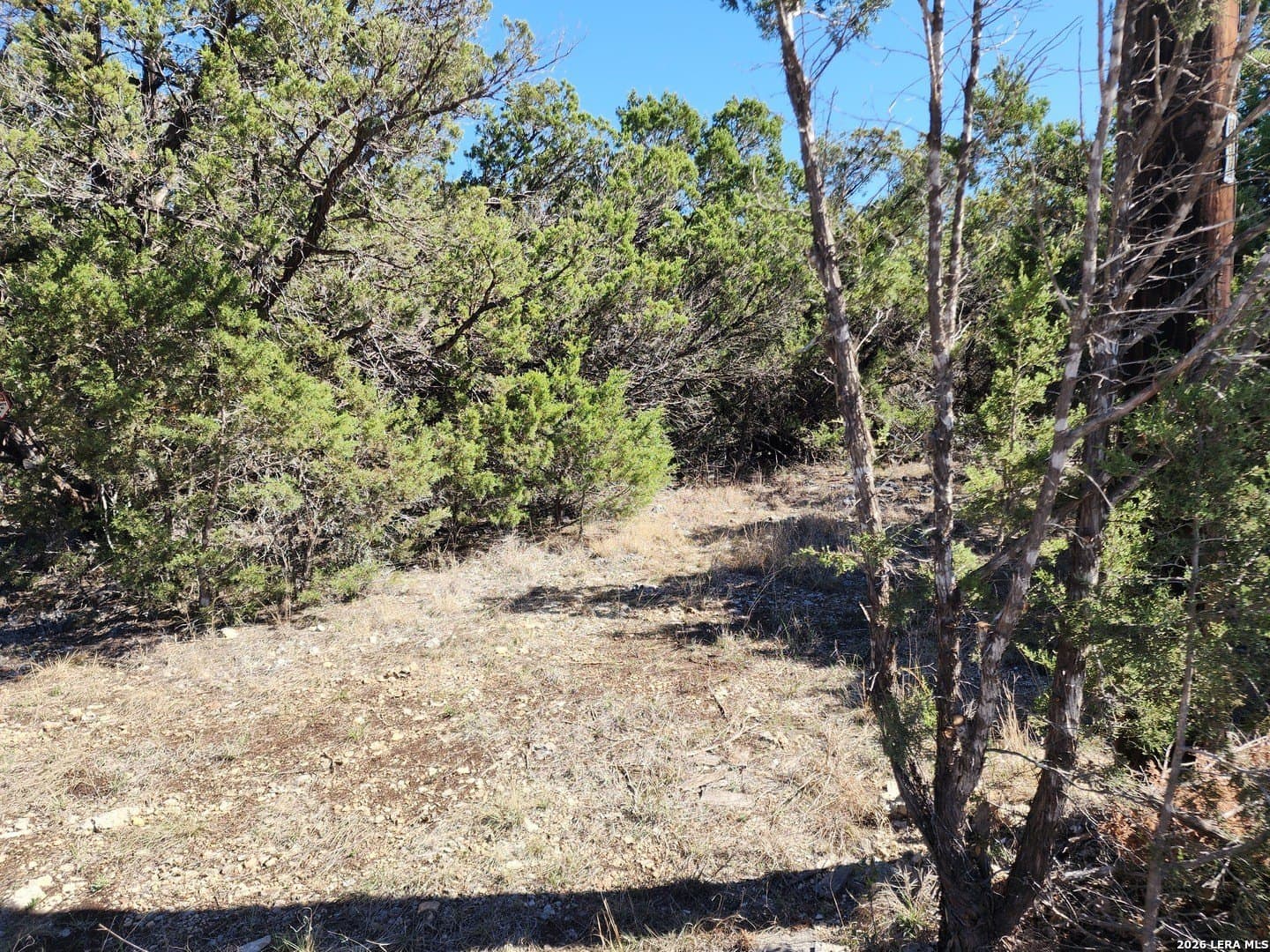 16.81 acres in Comal County - photo 6