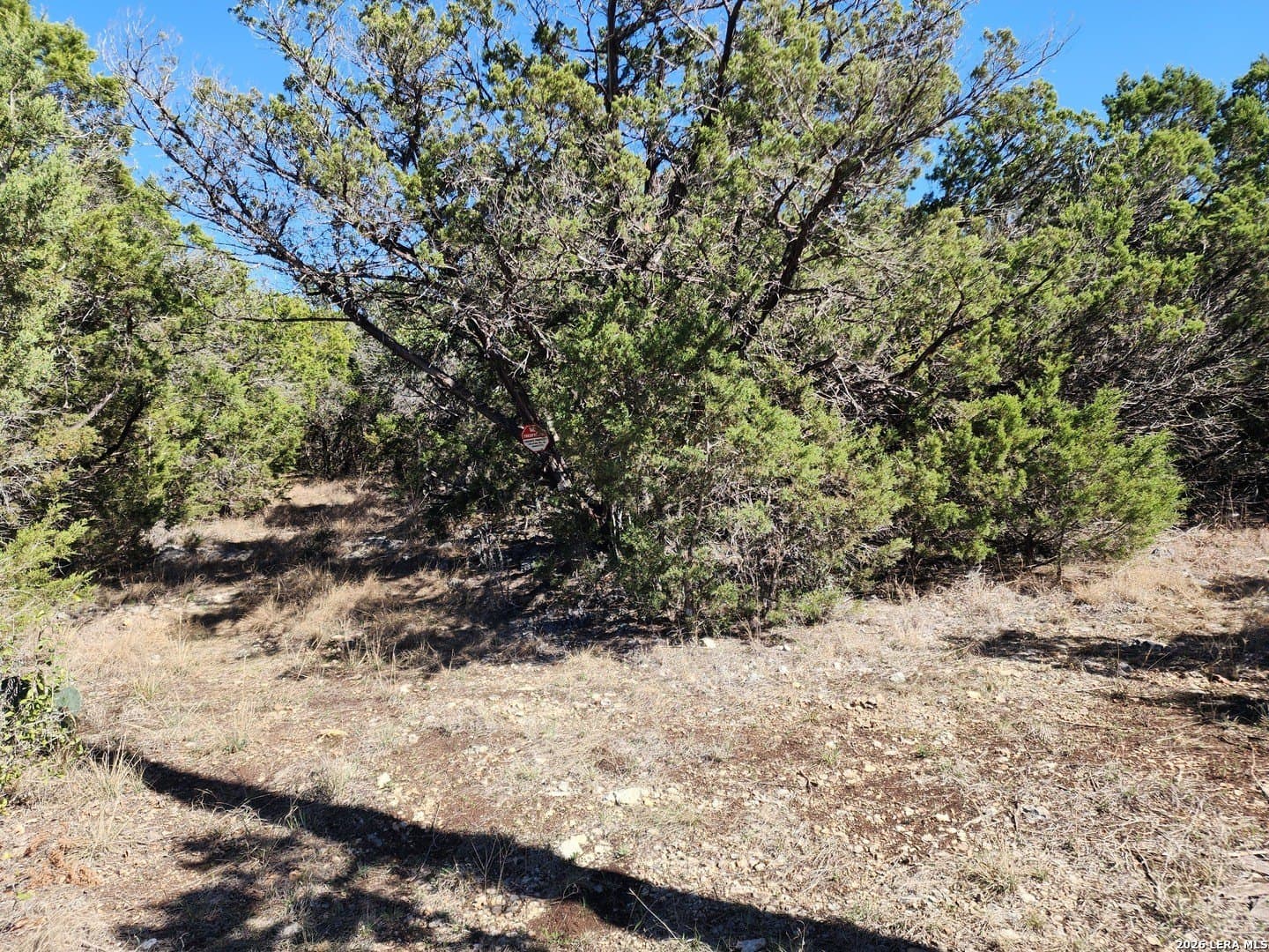 16.81 acres in Comal County featured view