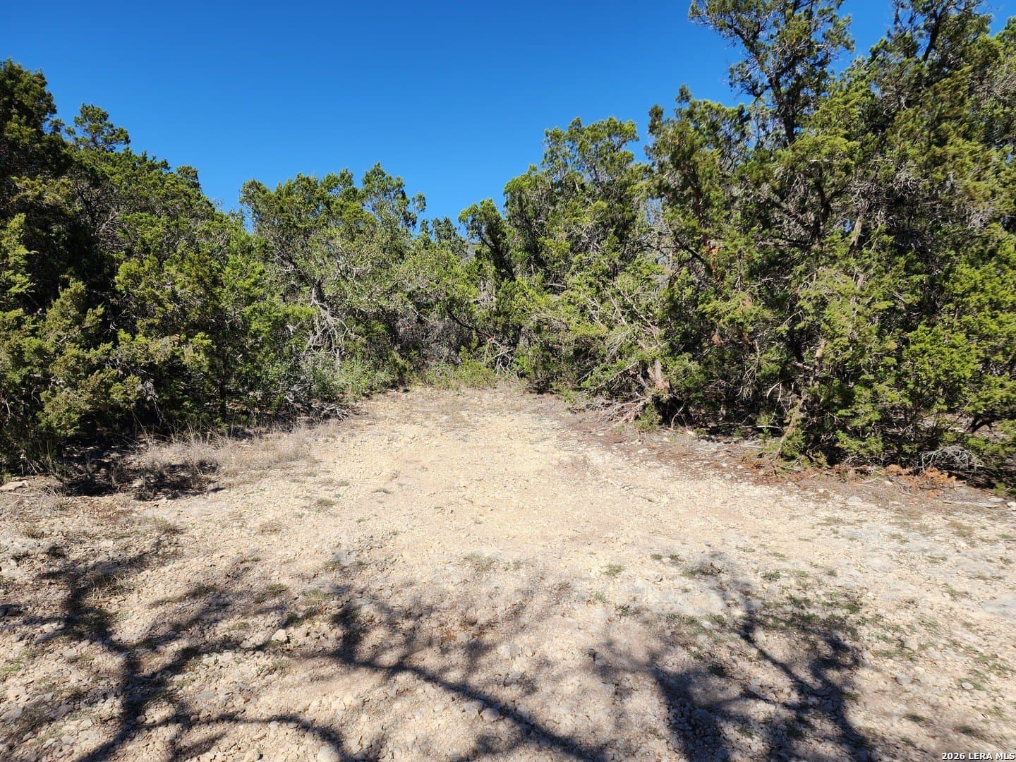 16.81 acres in Comal County - photo 8