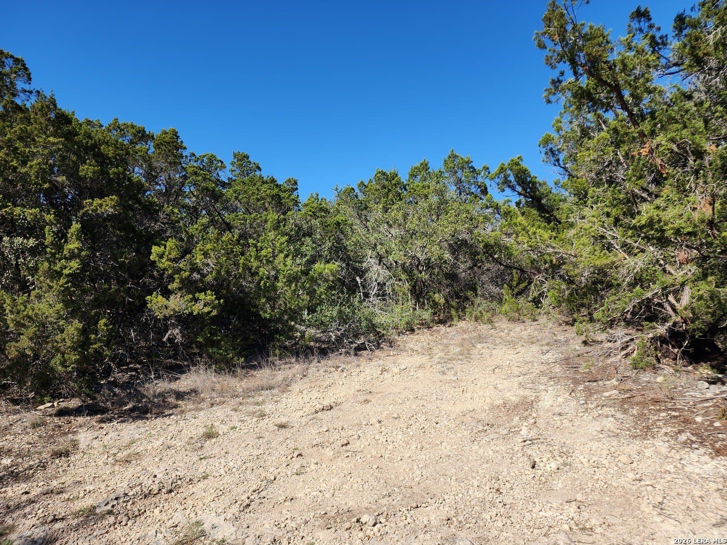 16.81 acres in Comal County - photo 9