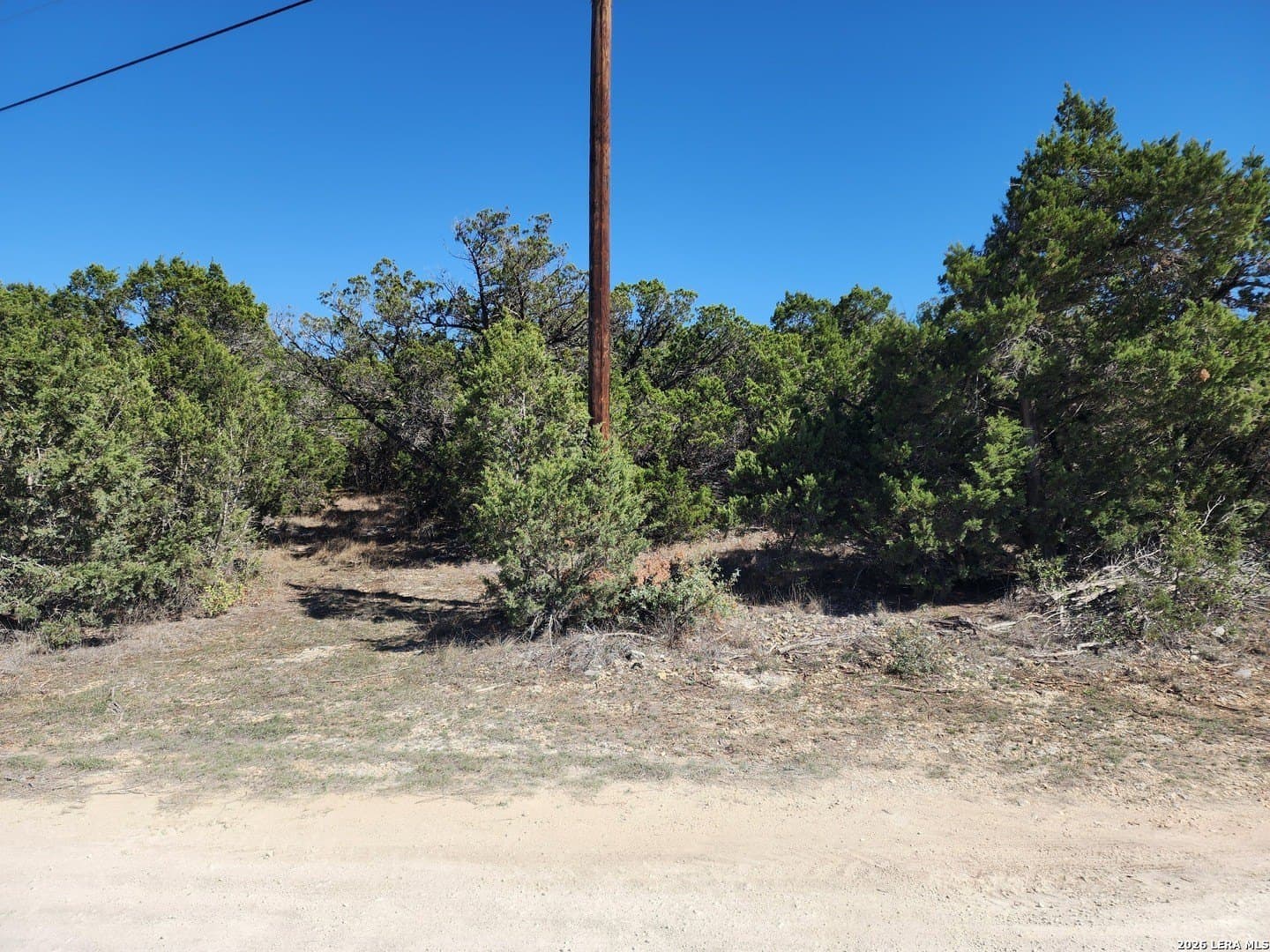 16.81 acres in Comal County gallery image 4