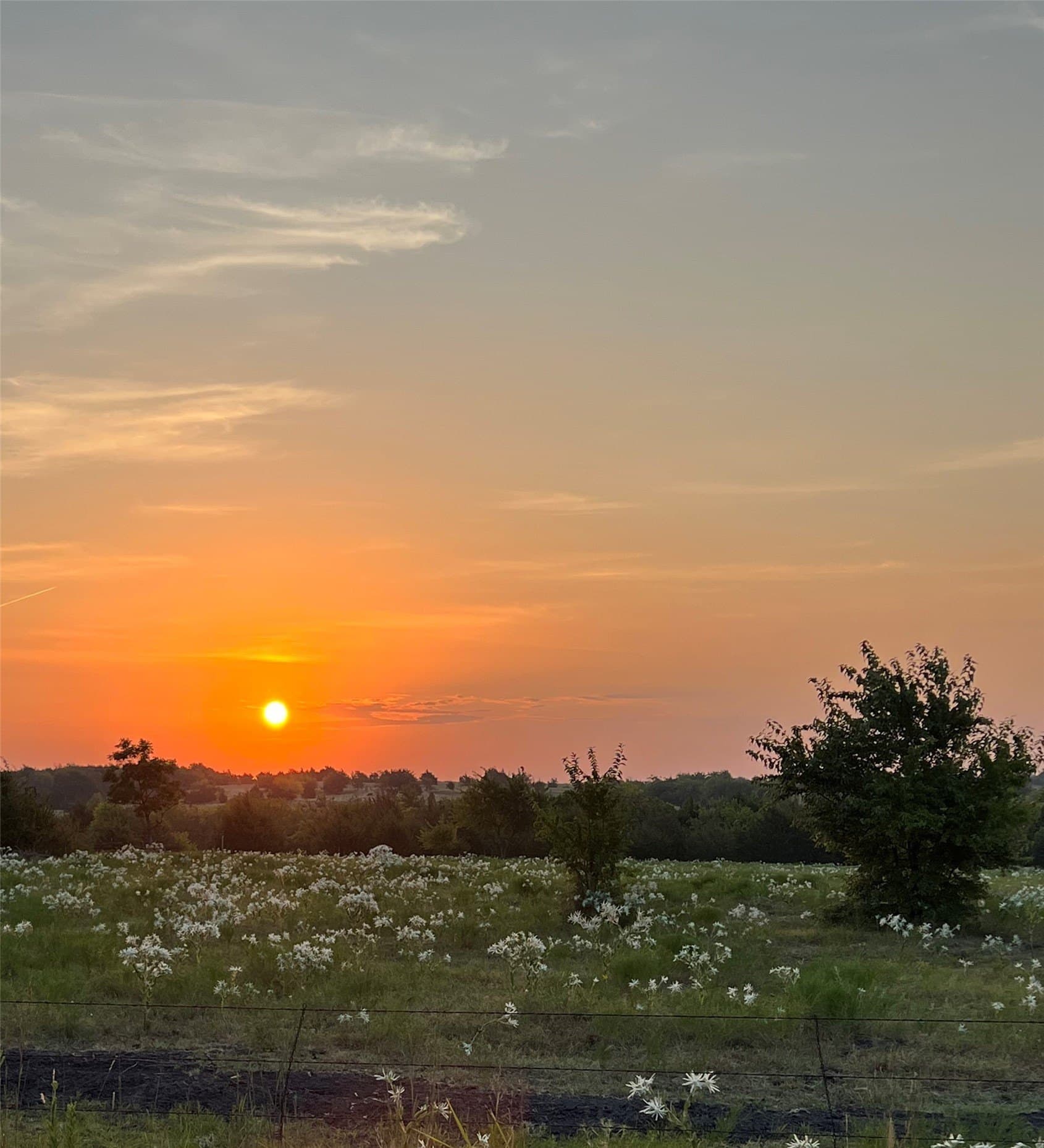11.5 acres in Collin County - photo 3