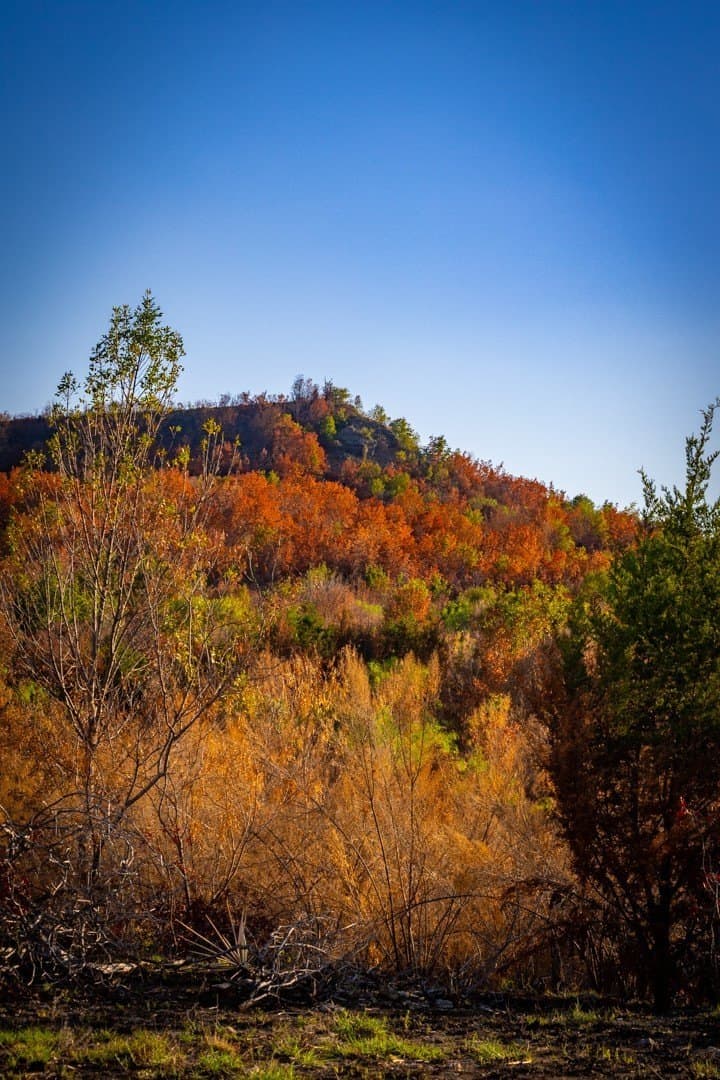 10 acres in Palo Pinto County - photo 15