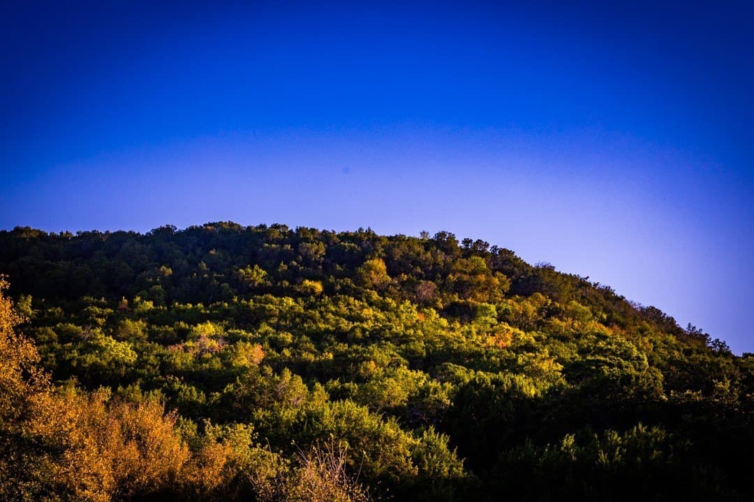 10 acres in Palo Pinto County - photo 16