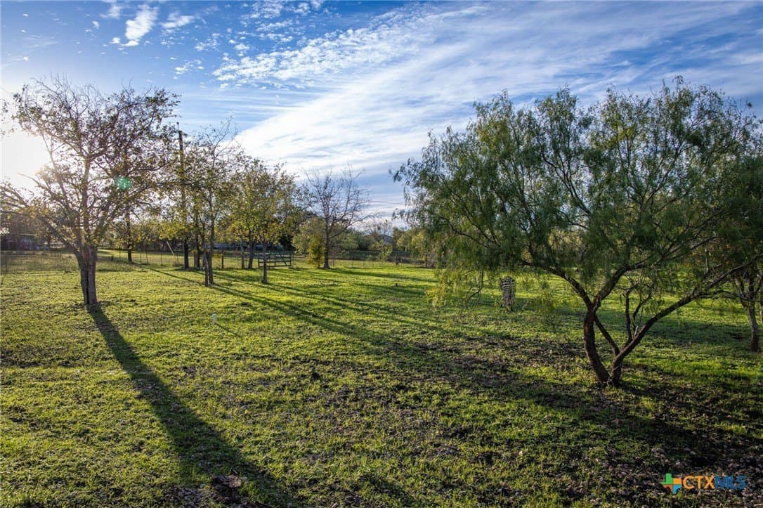 12 acres in Guadalupe County - photo 25