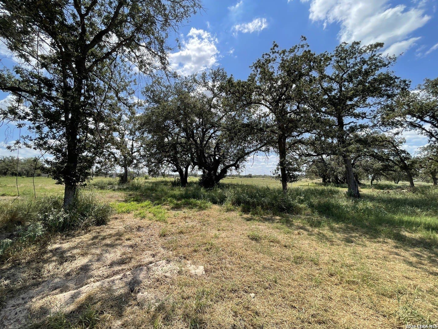 3 acres in Wilson County - photo 2