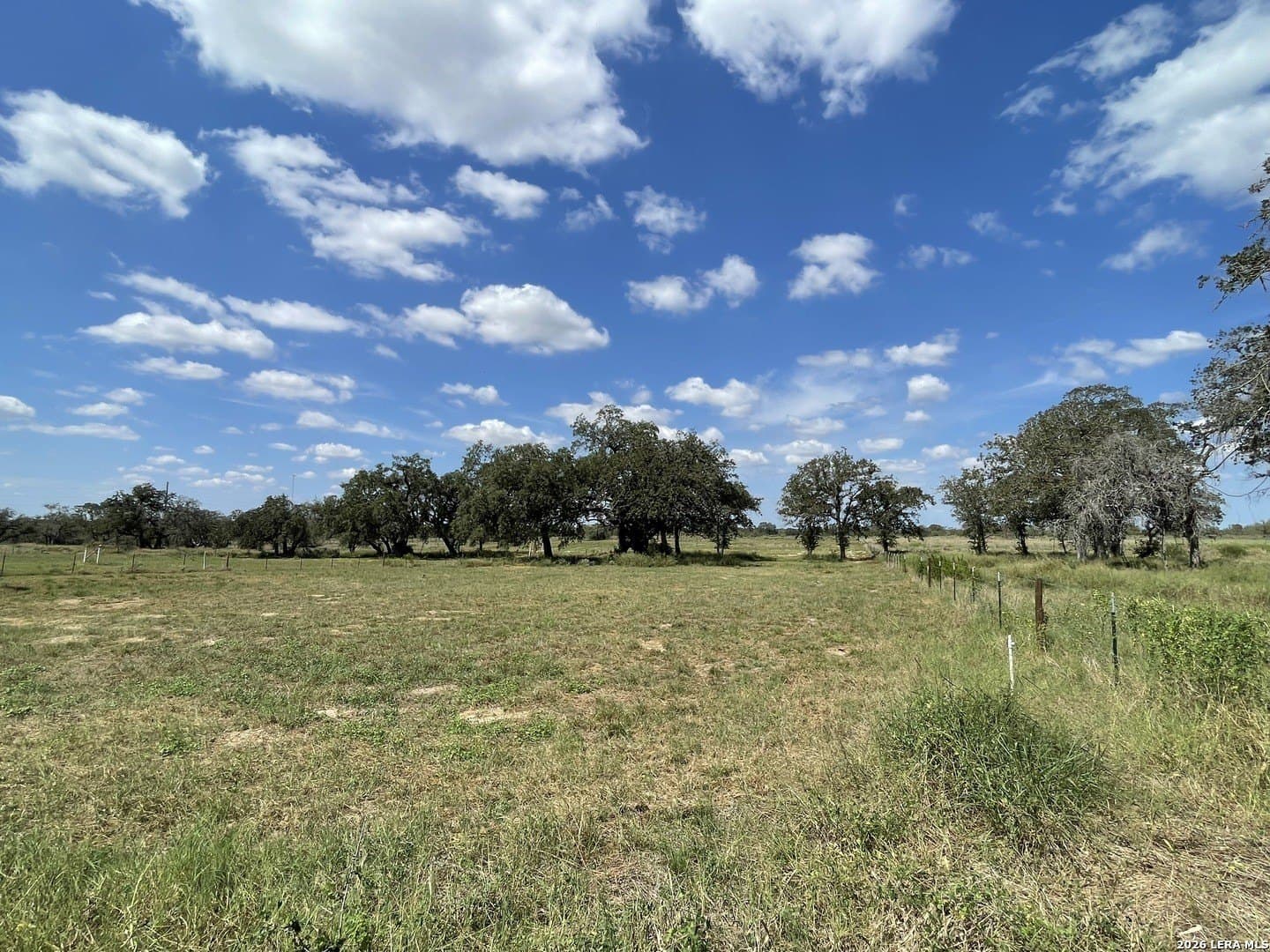 3 acres in Wilson County - photo 3
