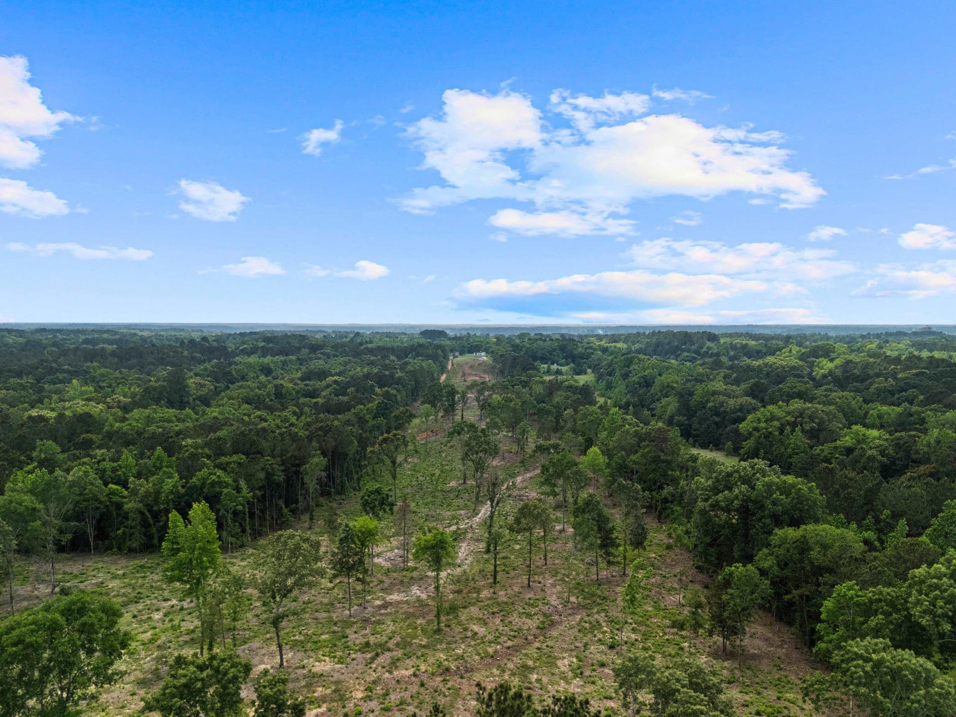 16.79 acres in Gregg County gallery image 2