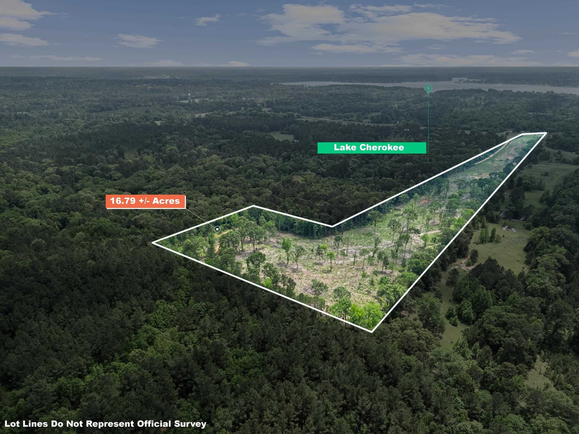 16.79 acres in Gregg County gallery image 3