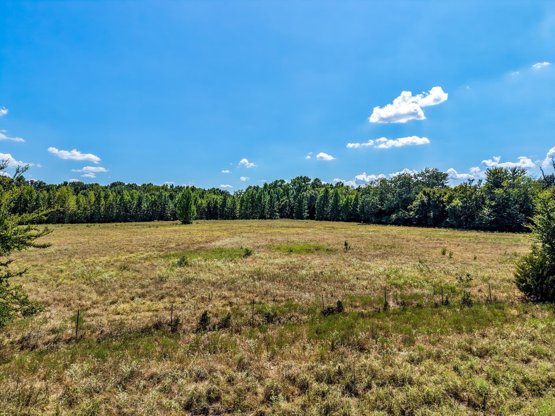 10 acres in Hopkins County - photo 12