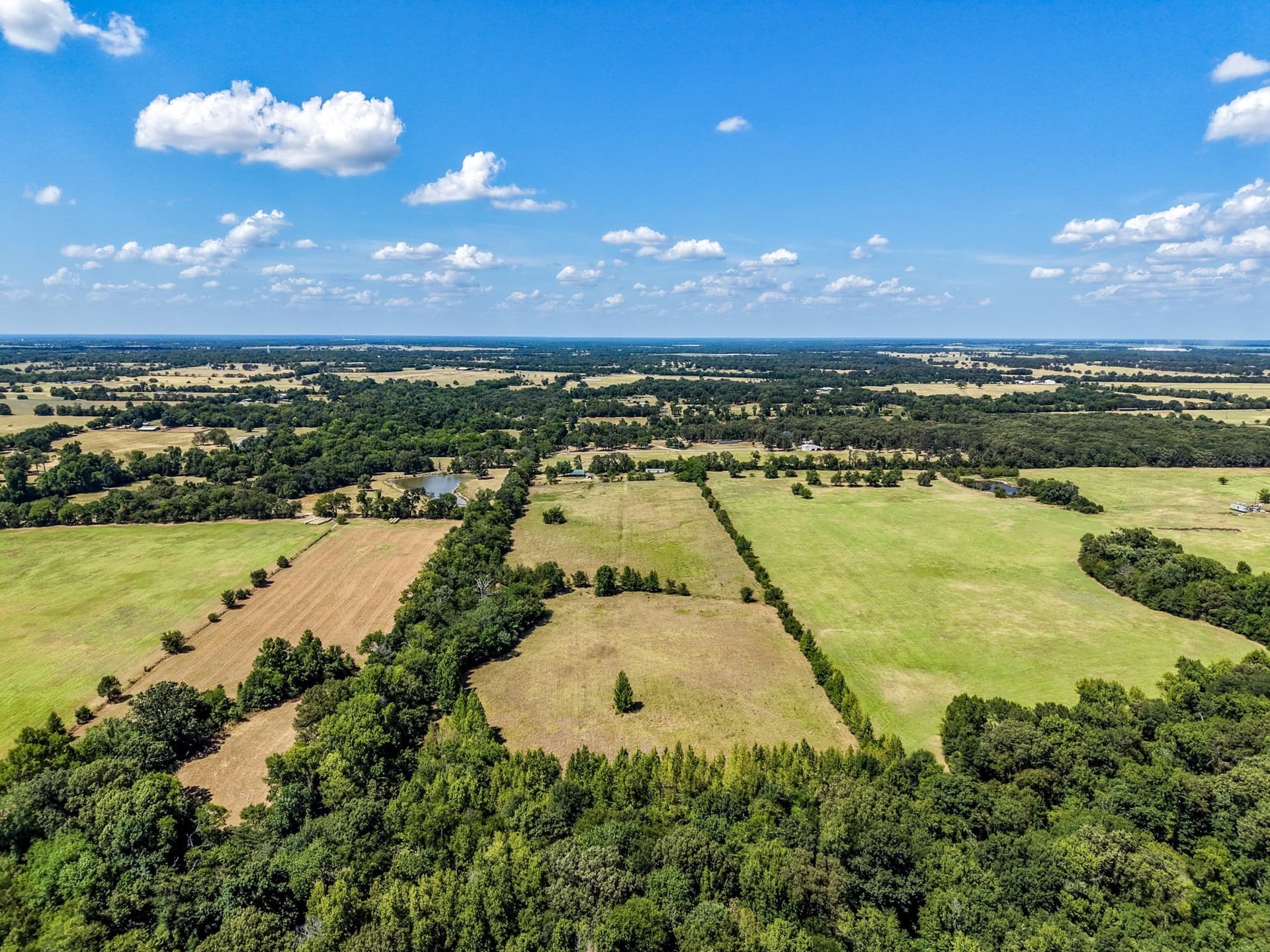 10 acres in Hopkins County - photo 4