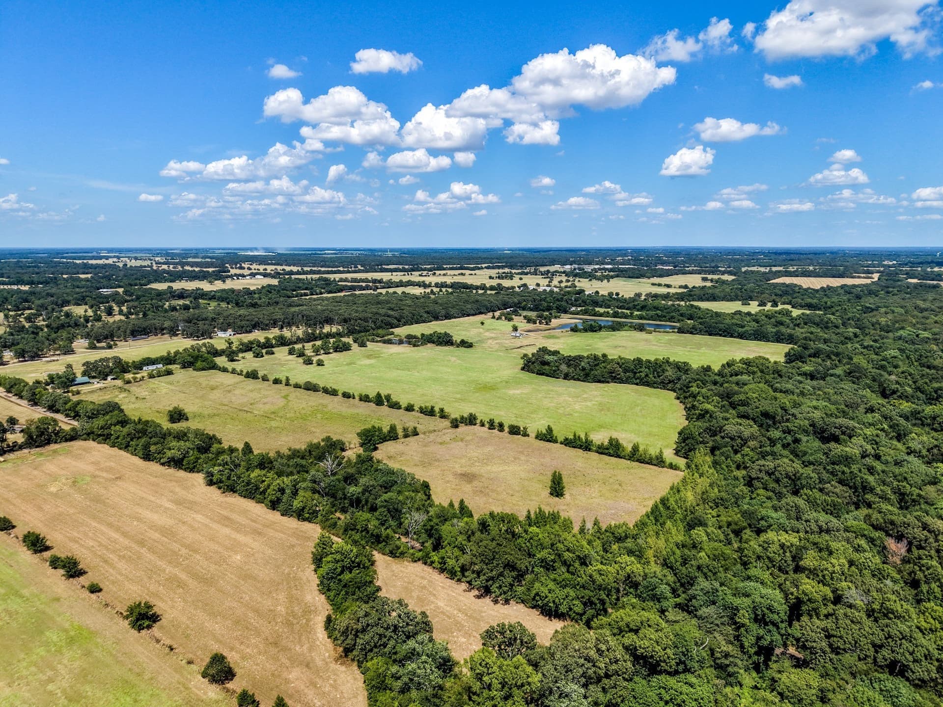 10 acres in Hopkins County - photo 3