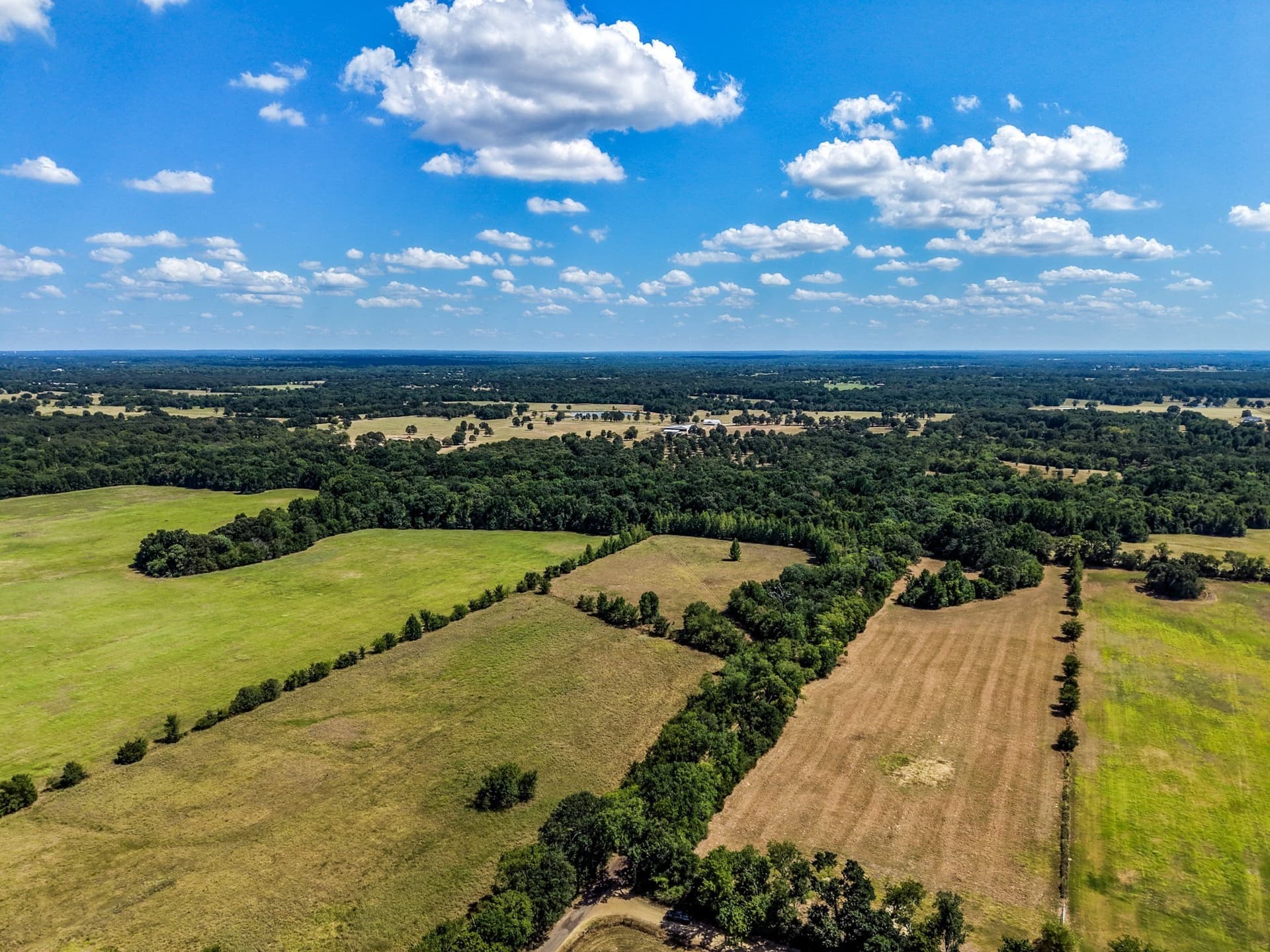 10 acres in Hopkins County - photo 9