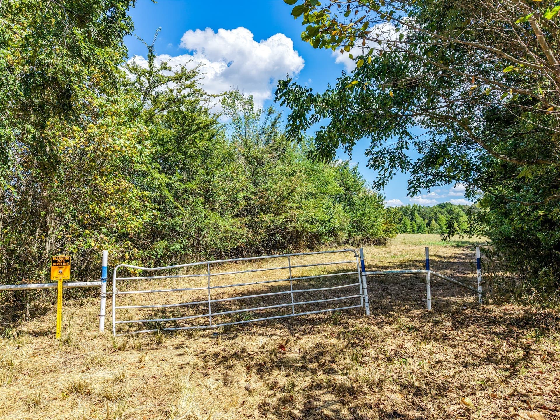 10 acres in Hopkins County - photo 18