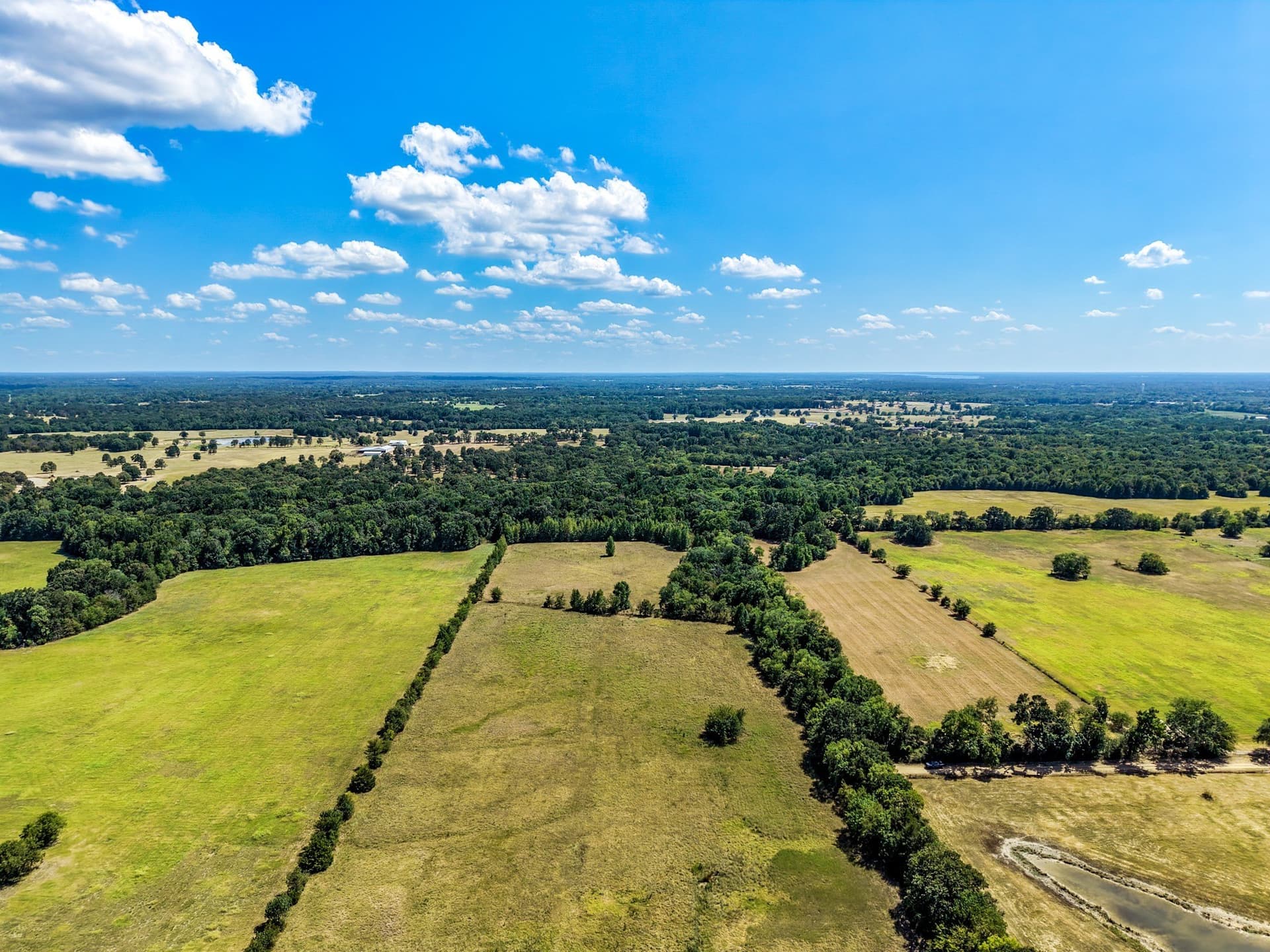 10 acres in Hopkins County - photo 8
