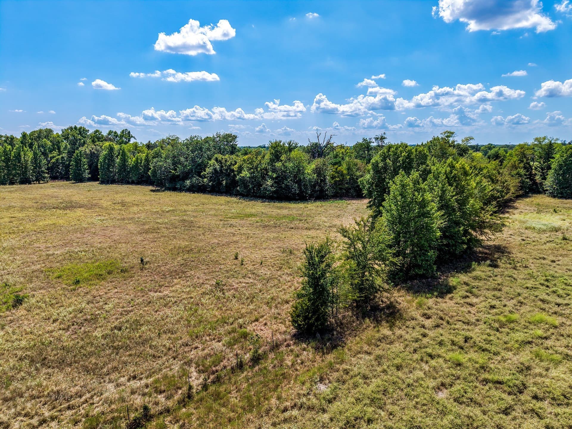 10 acres in Hopkins County - photo 13