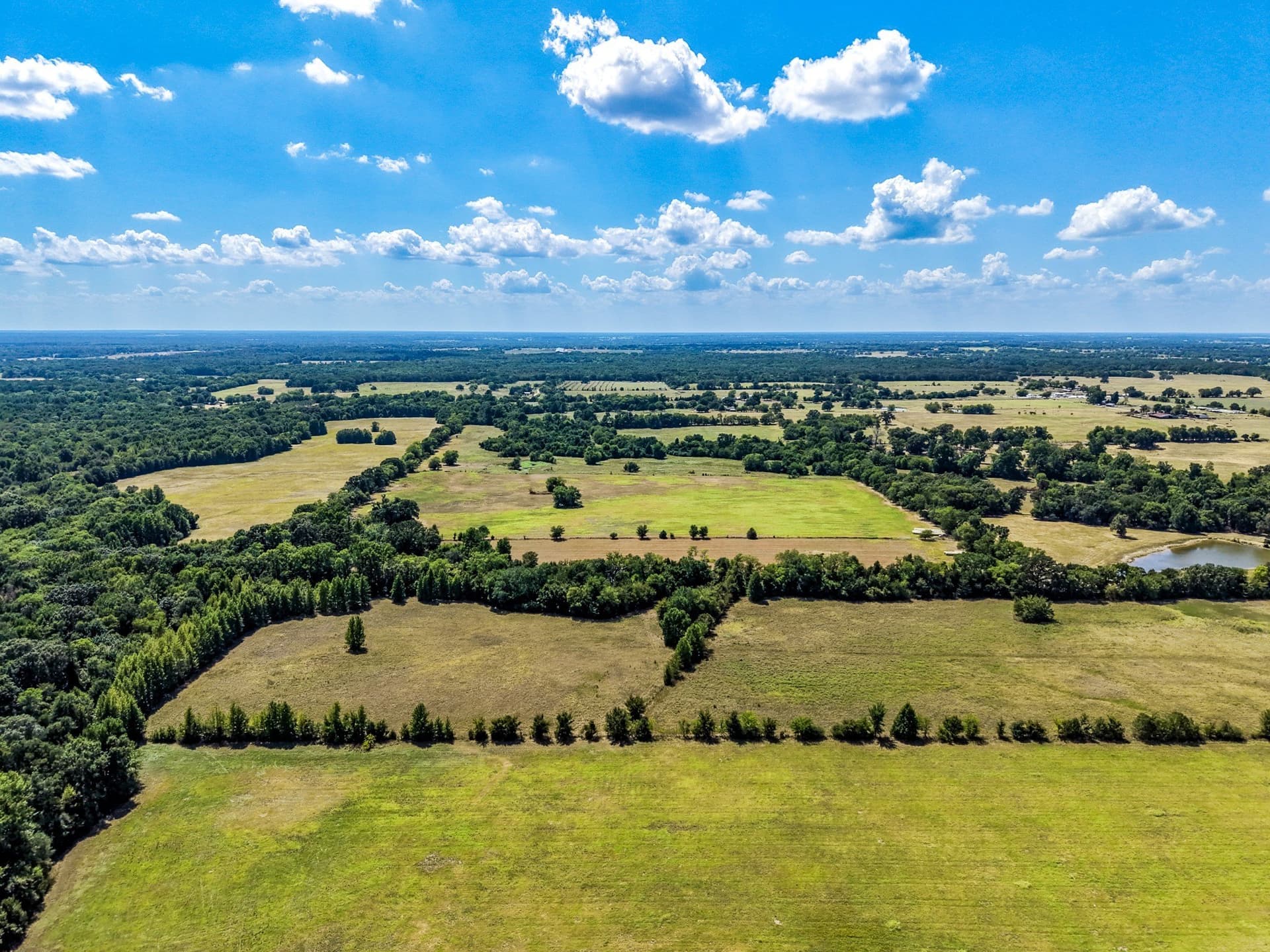 10 acres in Hopkins County - photo 6
