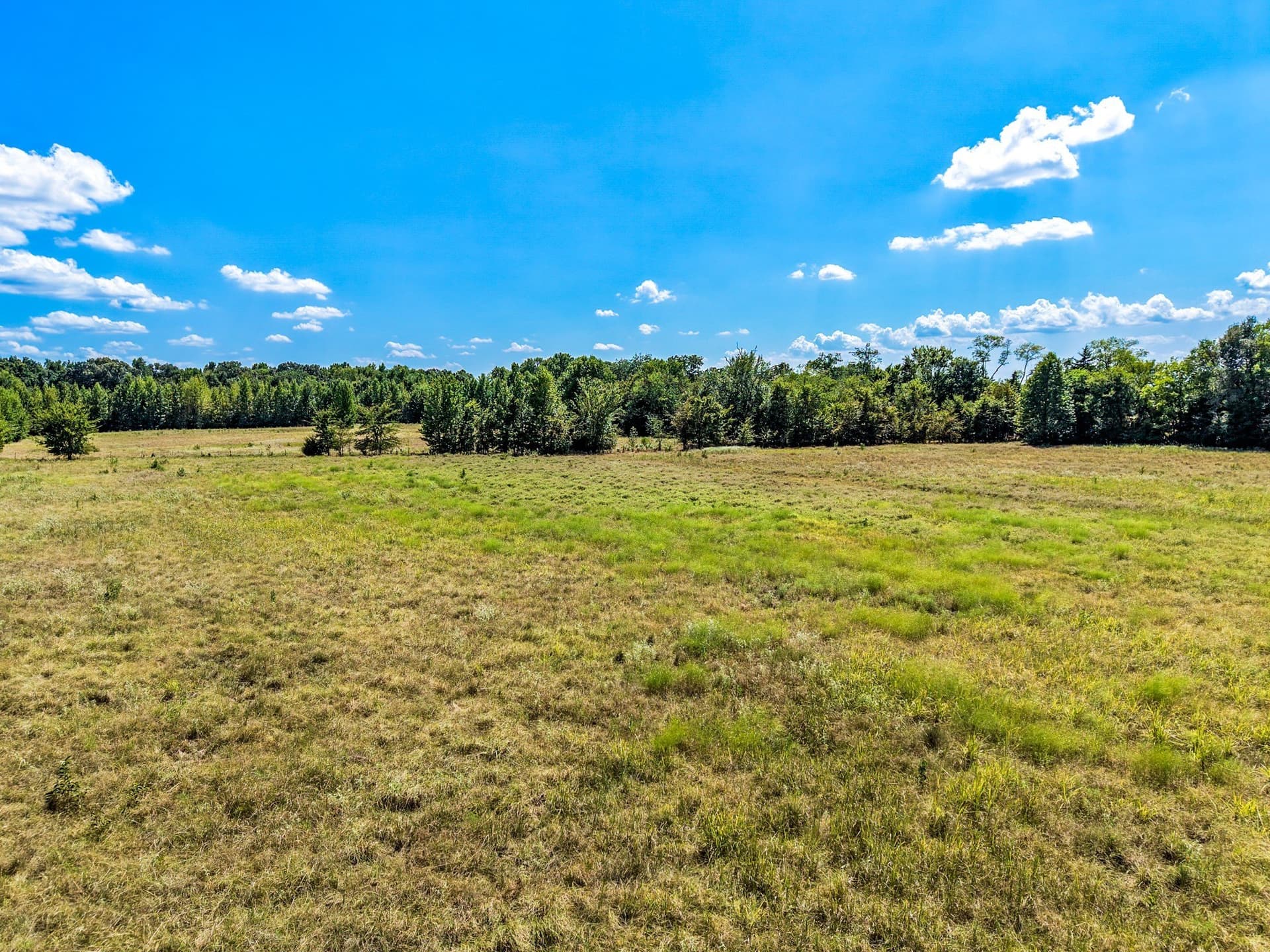 10 acres in Hopkins County - photo 11