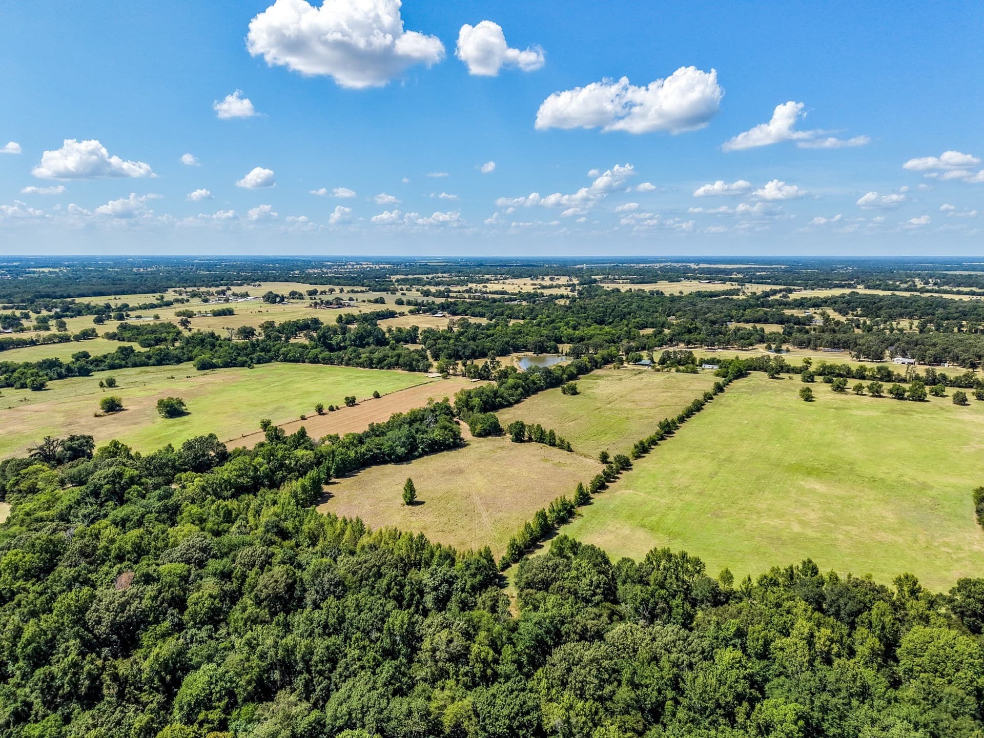 10 acres in Hopkins County - photo 5