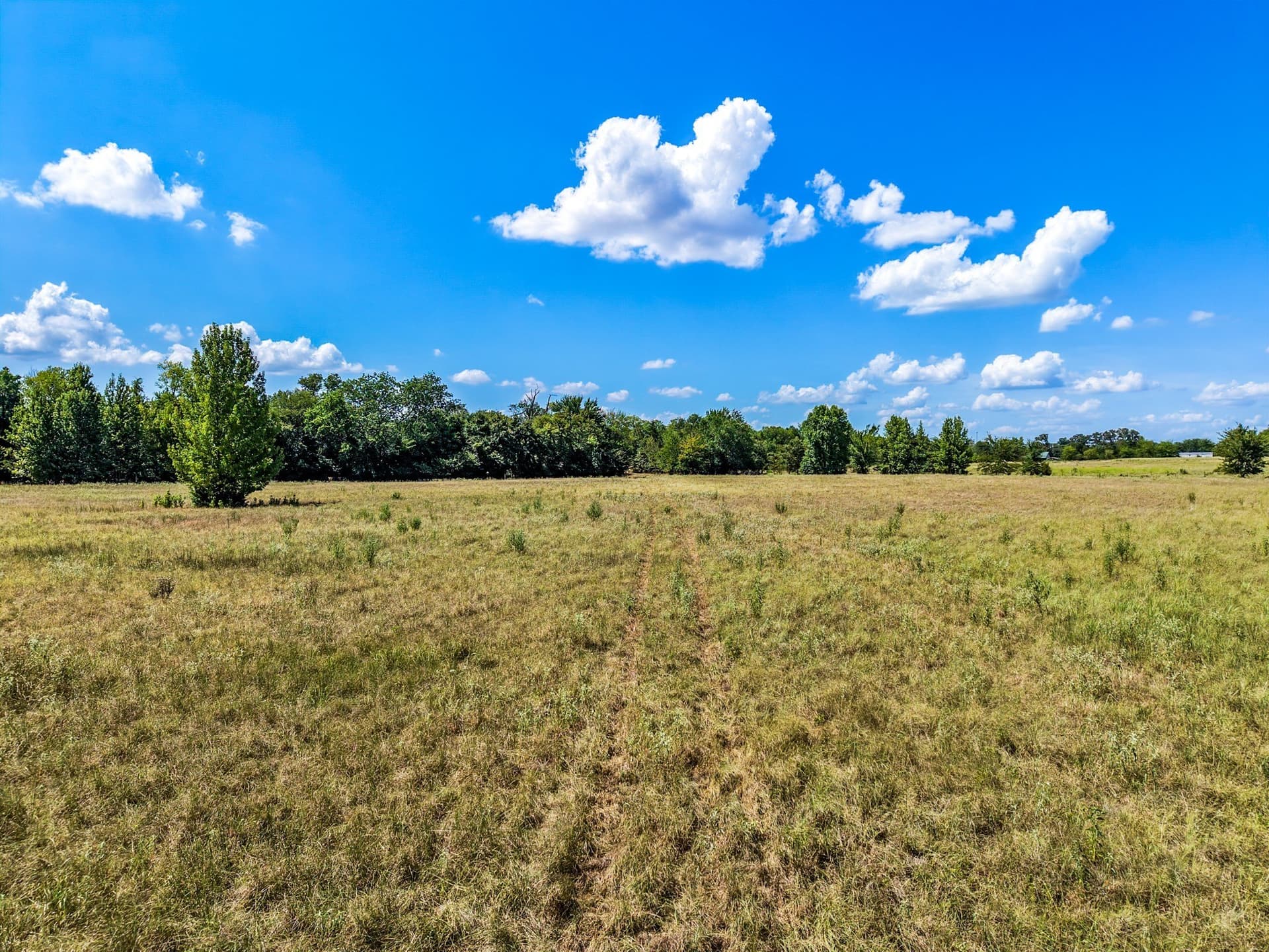 10 acres in Hopkins County - photo 14
